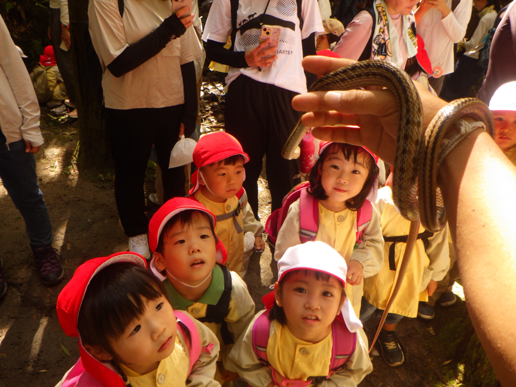 【年少】10/6　村積山　園外保育（1/2）