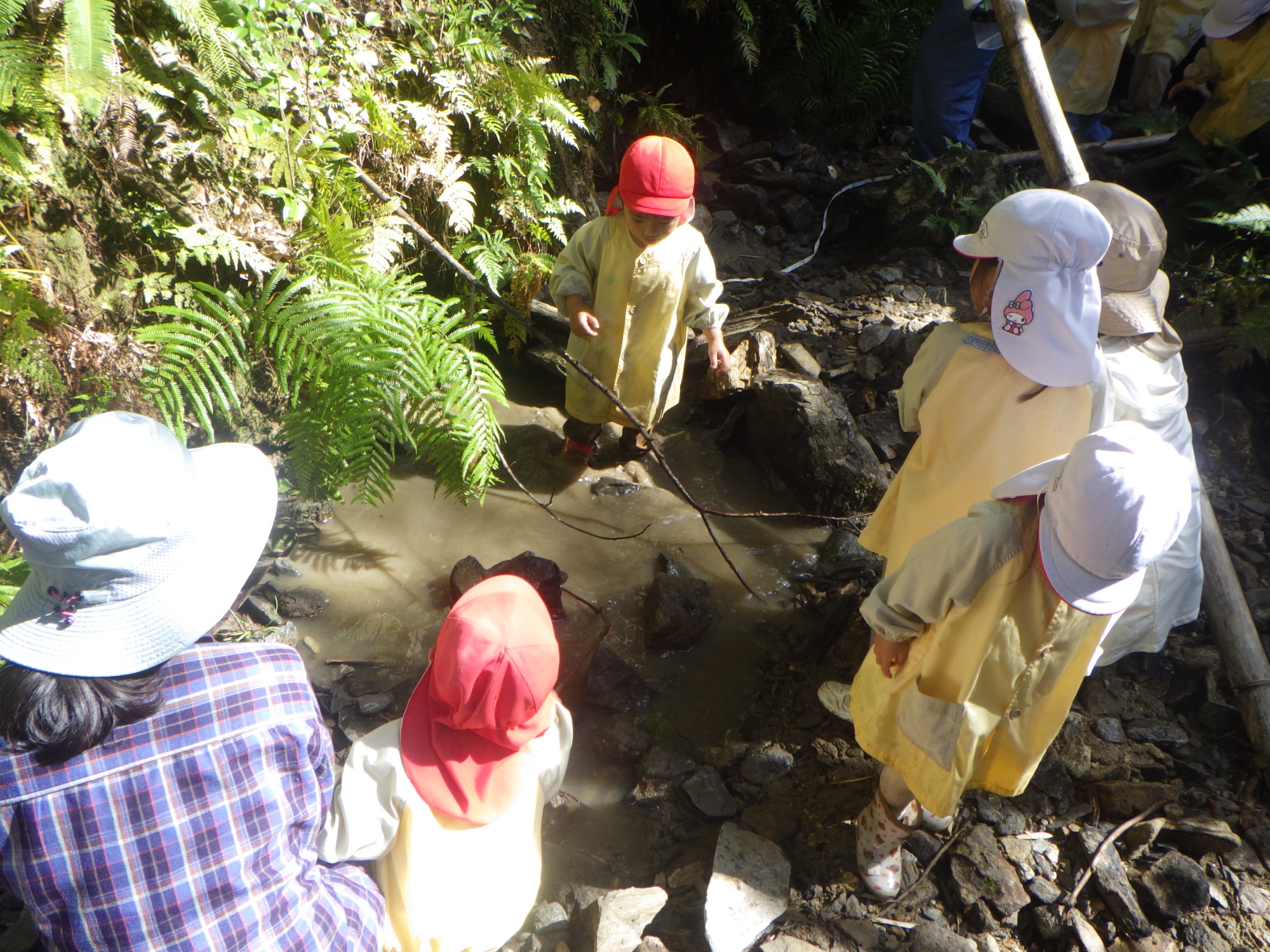 【年少】10/6　村積山　園外保育（2/2）