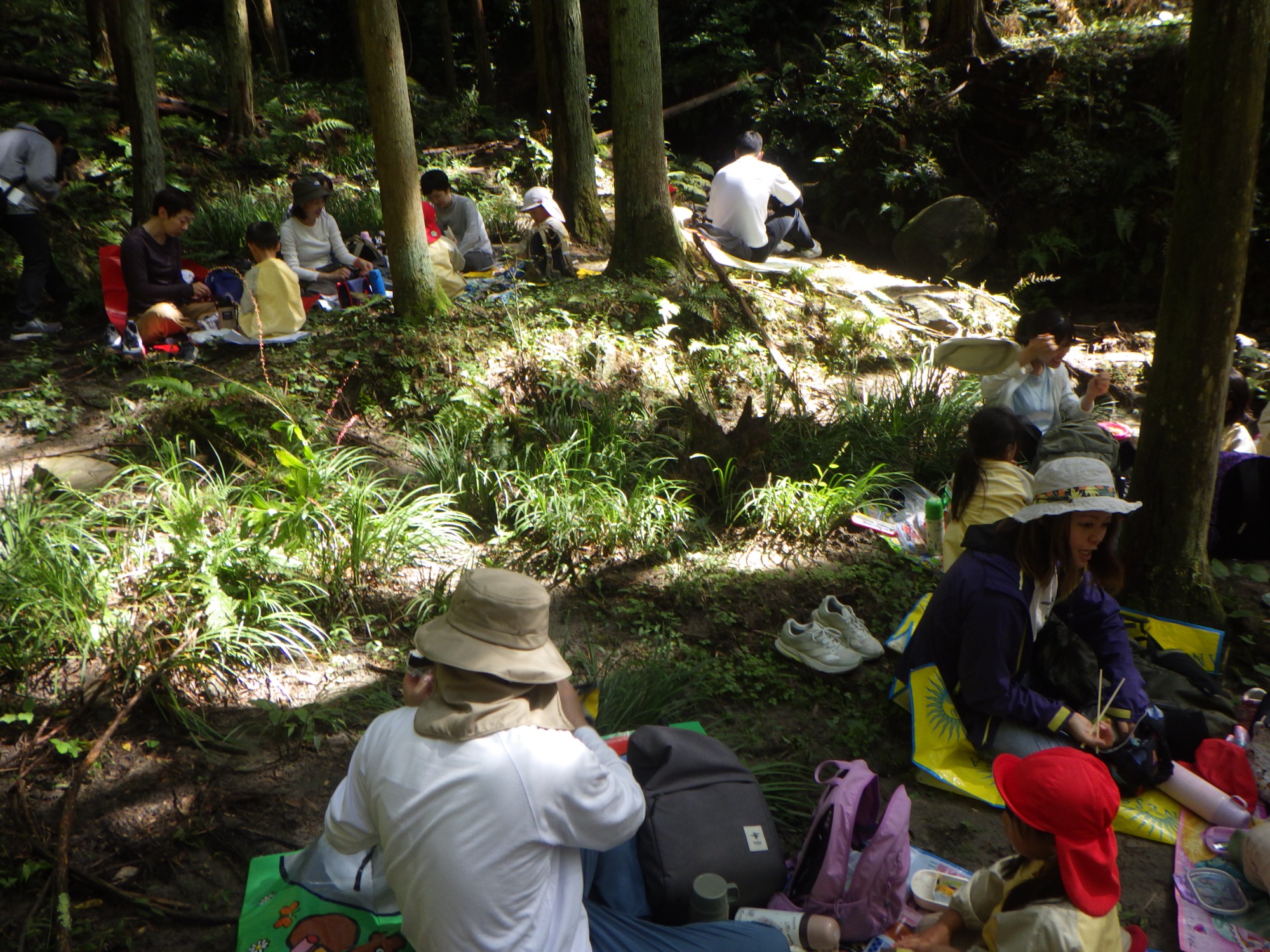 【年少】10/6　村積山　園外保育（2/2）