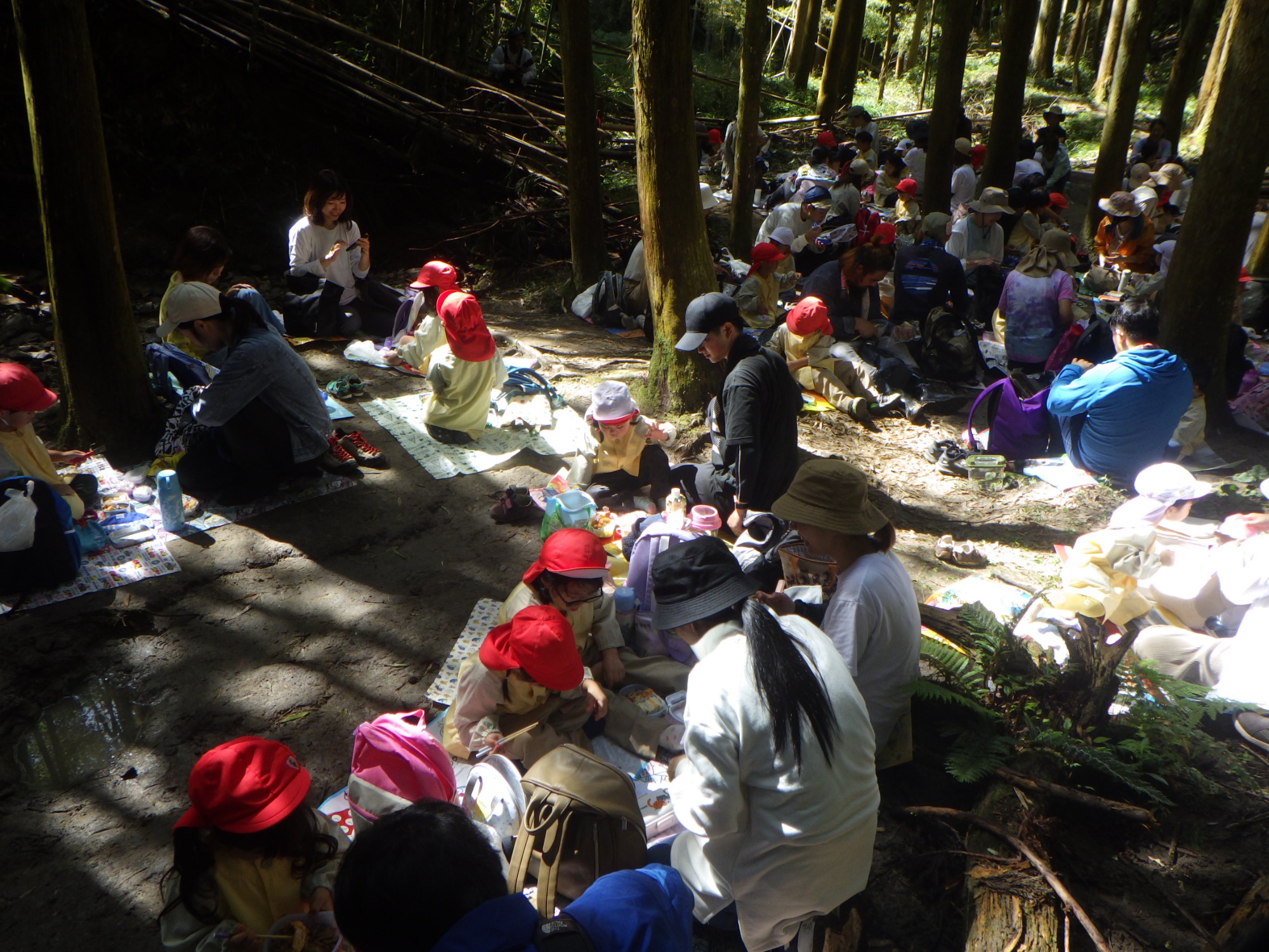 【年少】10/6　村積山　園外保育（2/2）