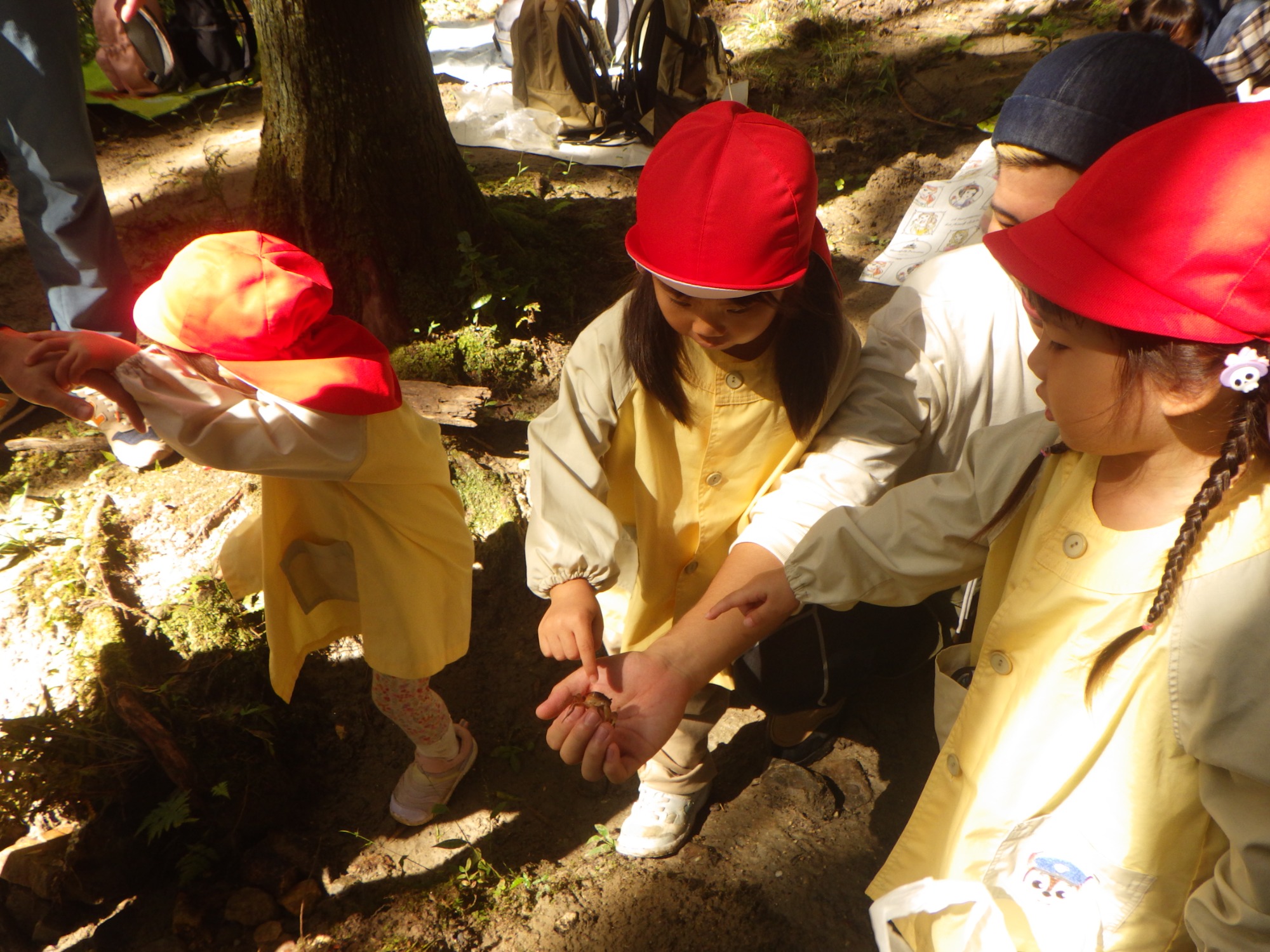 【年少】10/6　村積山　園外保育（2/2）