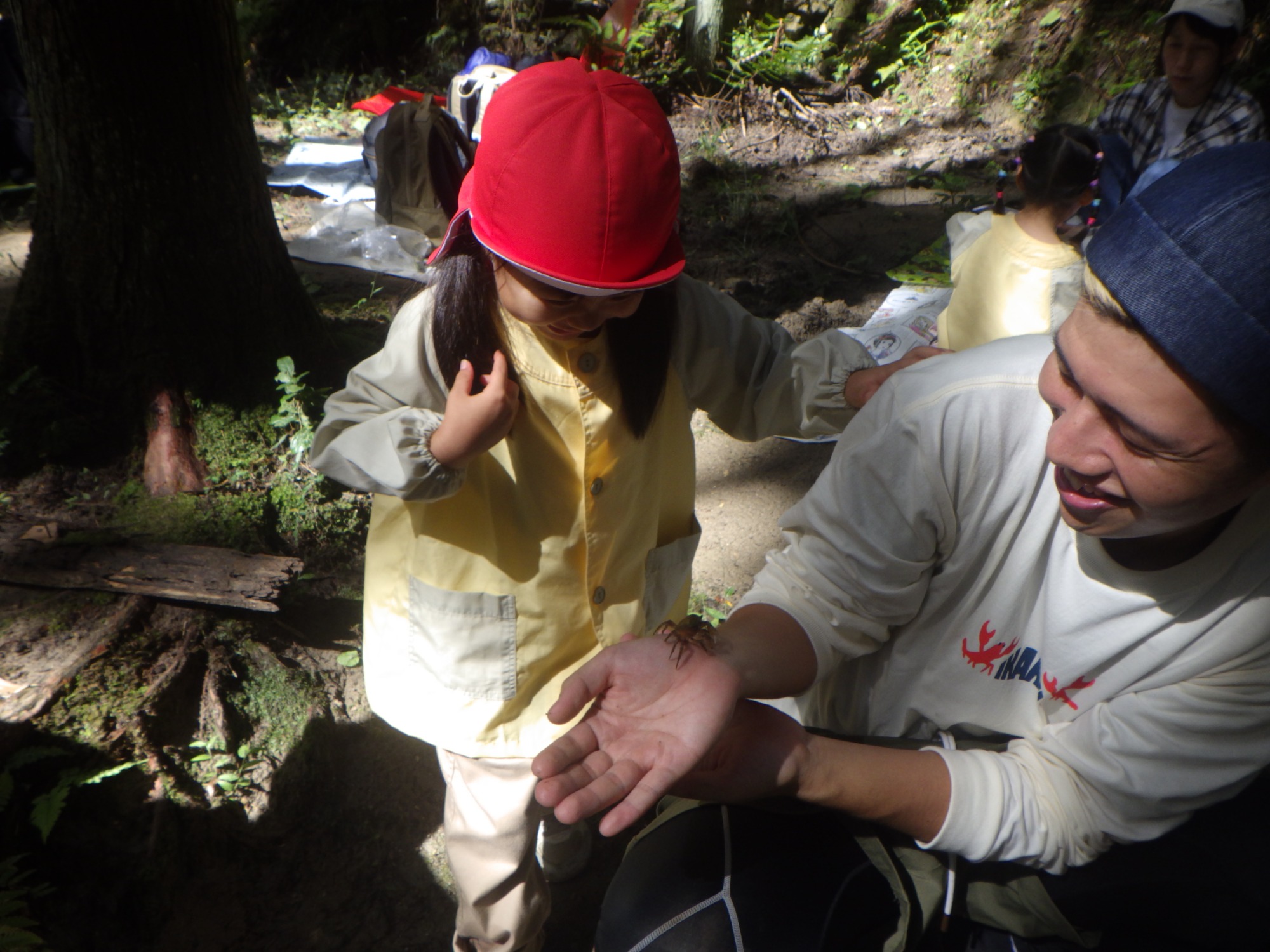 【年少】10/6　村積山　園外保育（2/2）