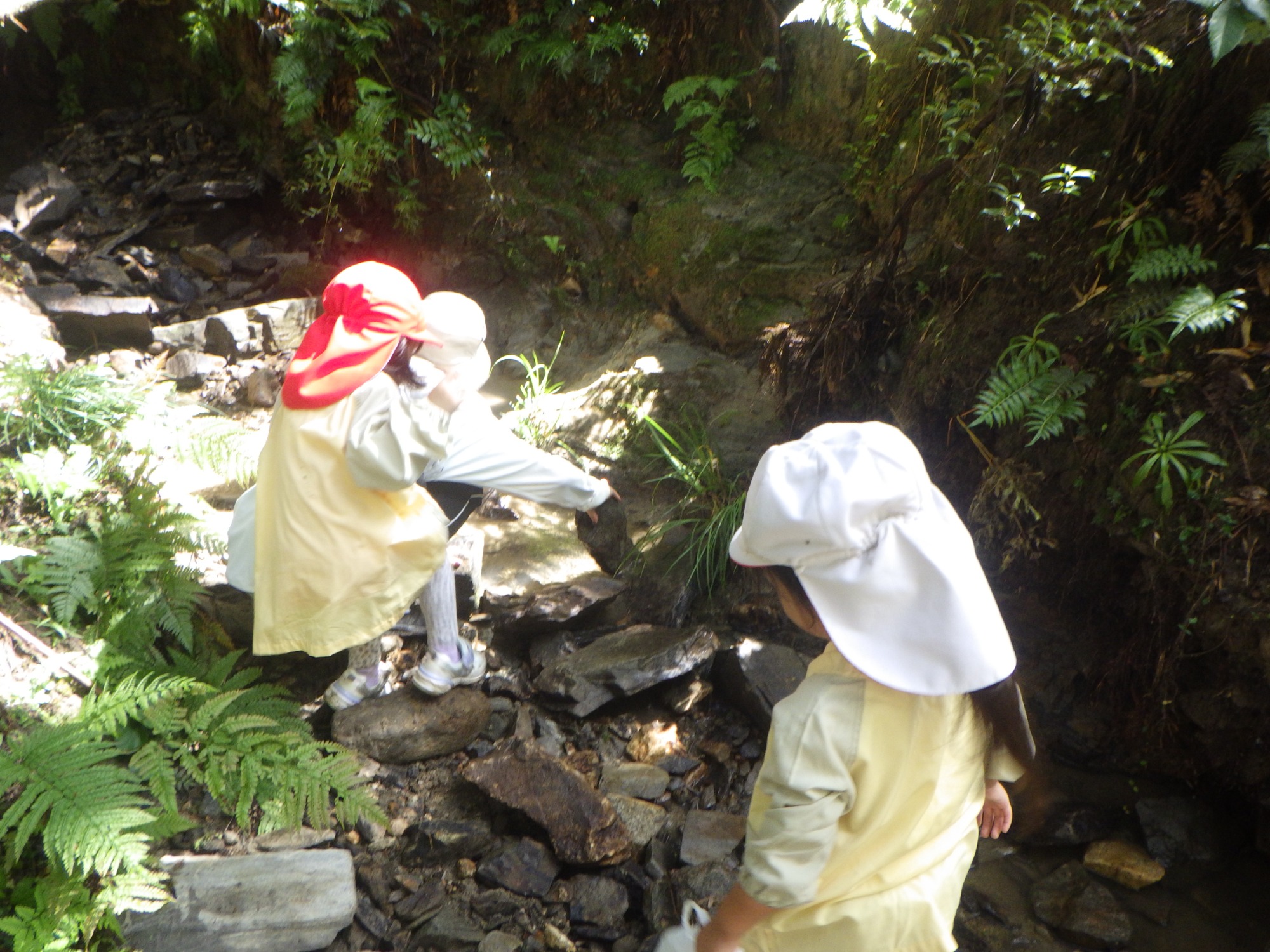 【年少】10/6　村積山　園外保育（2/2）