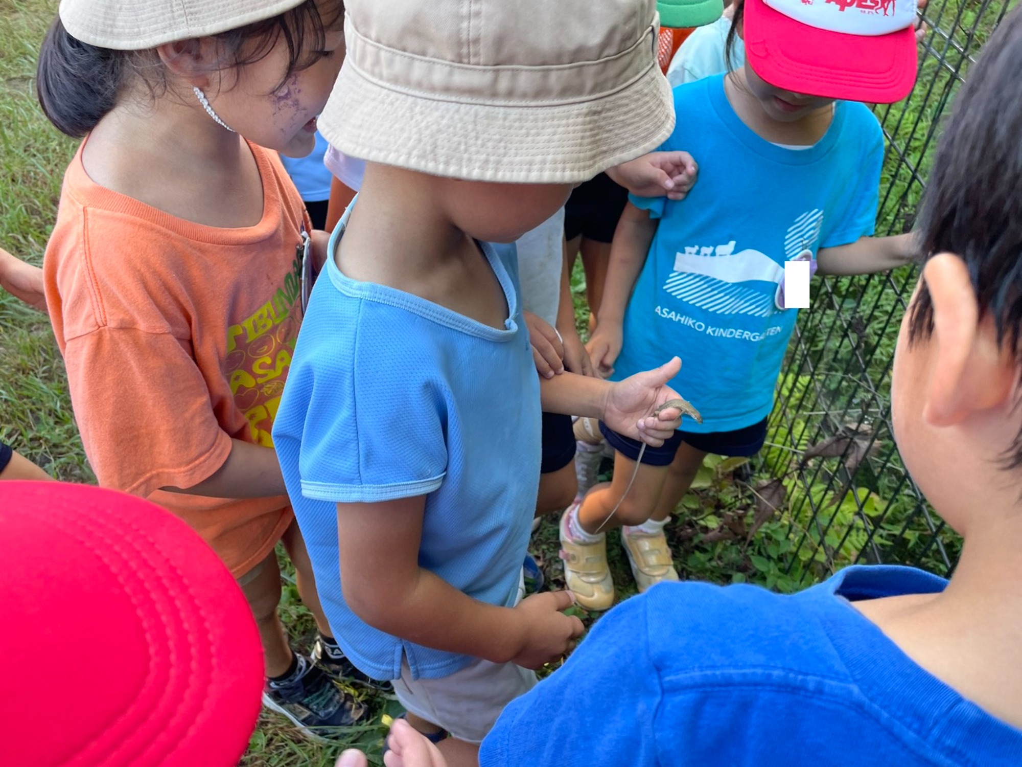 秋祭り＆かなちゃん