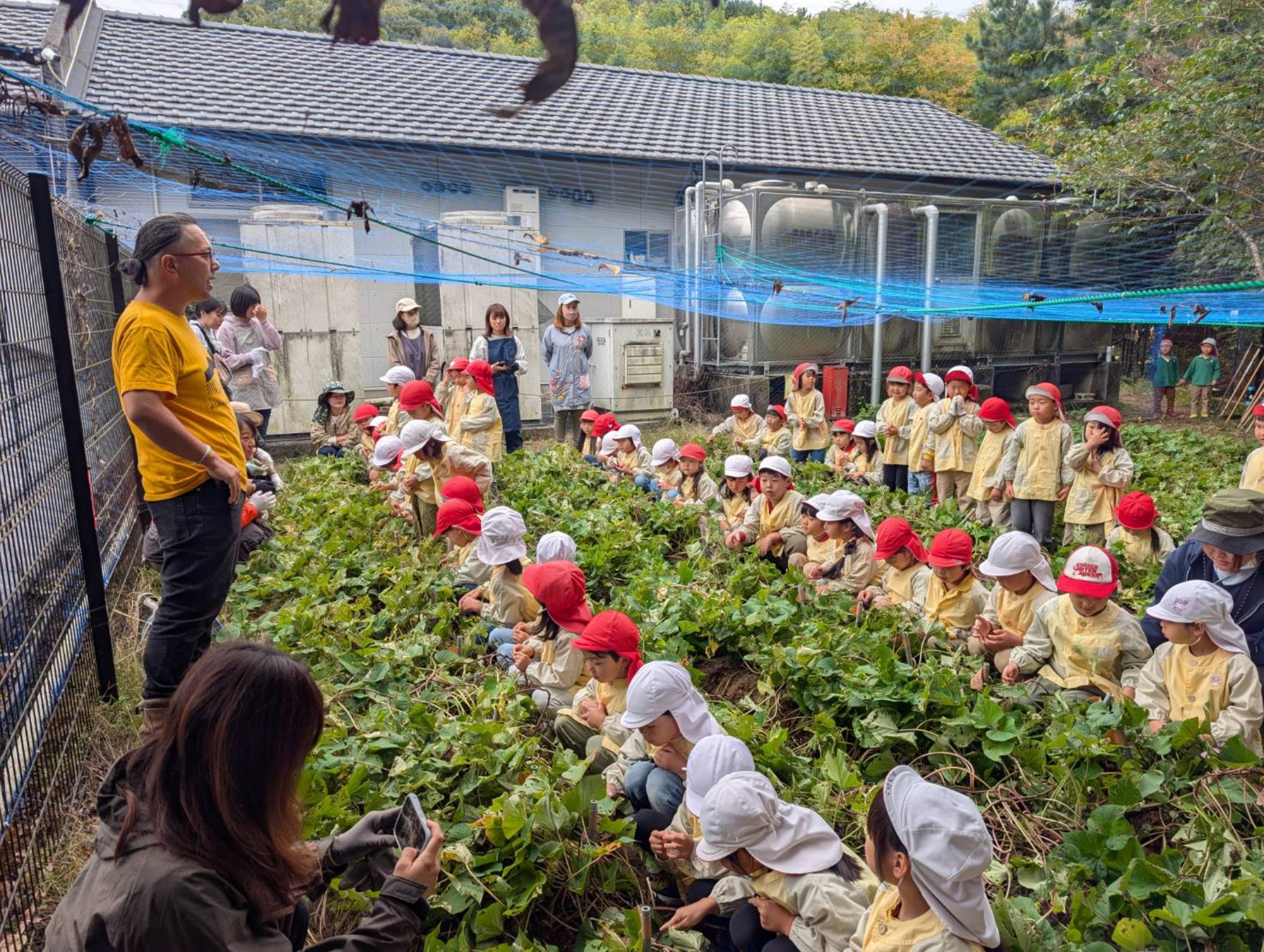 おいも掘り（1/3）
