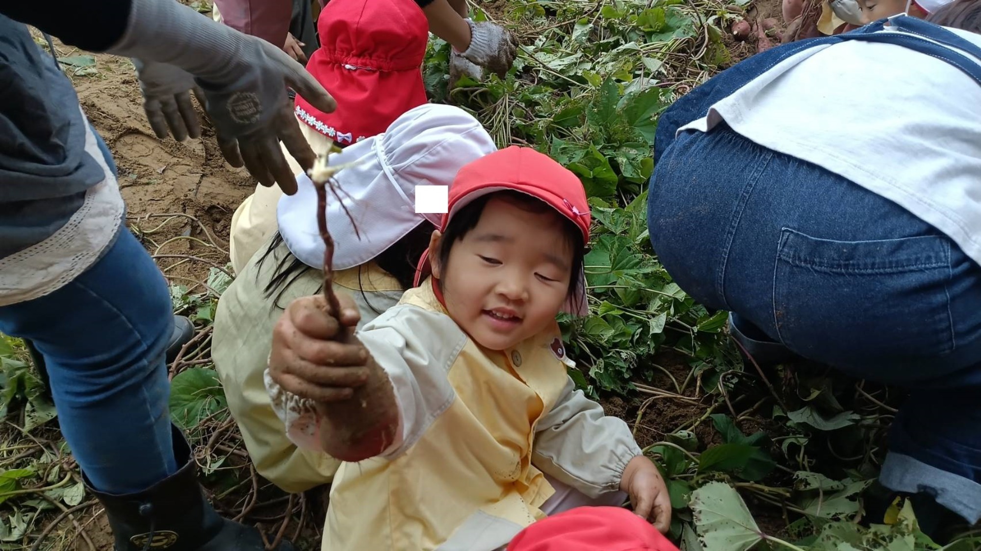 おいも掘り（3/3）
