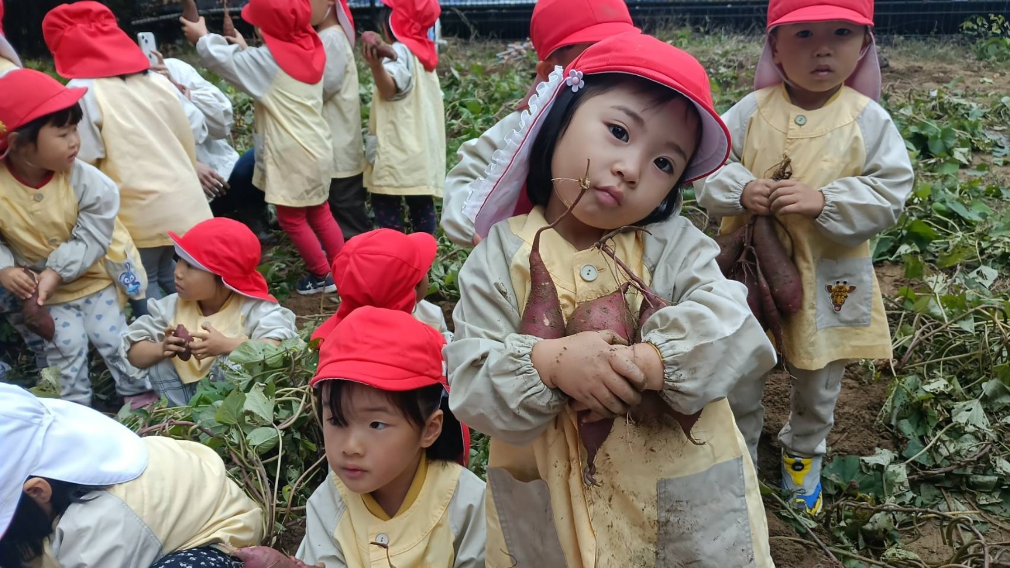 おいも掘り（3/3）