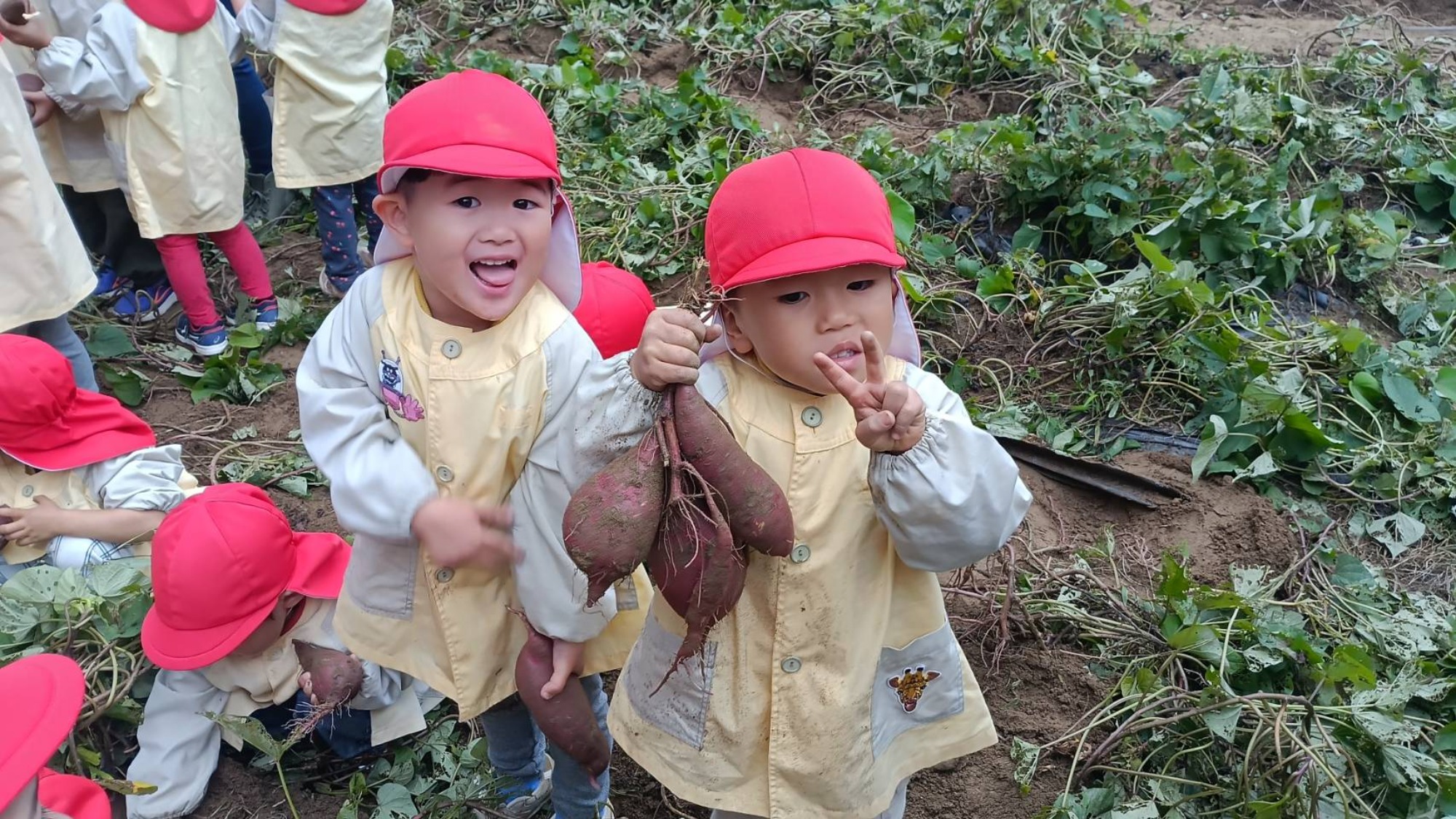 おいも掘り（3/3）