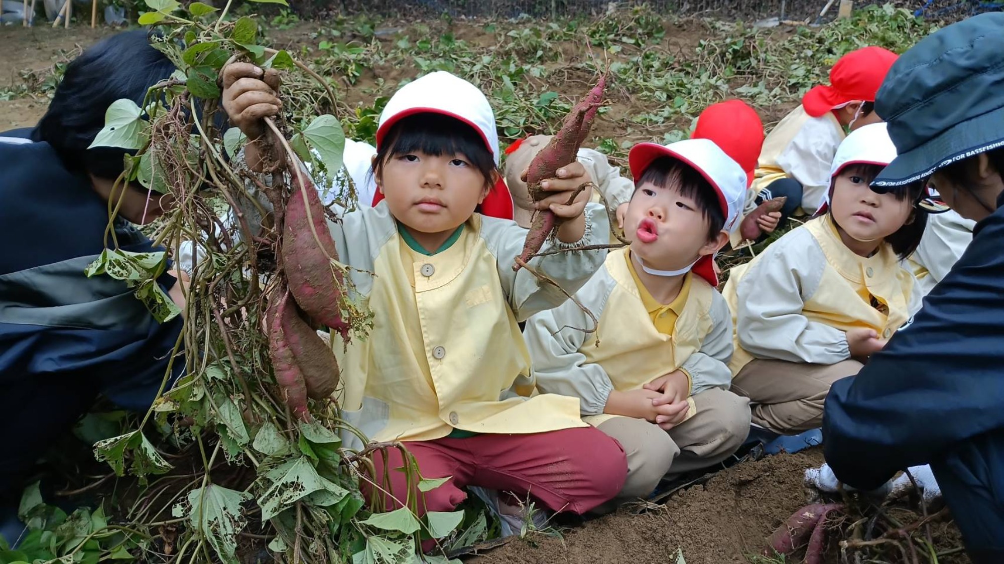 おいも掘り（3/3）