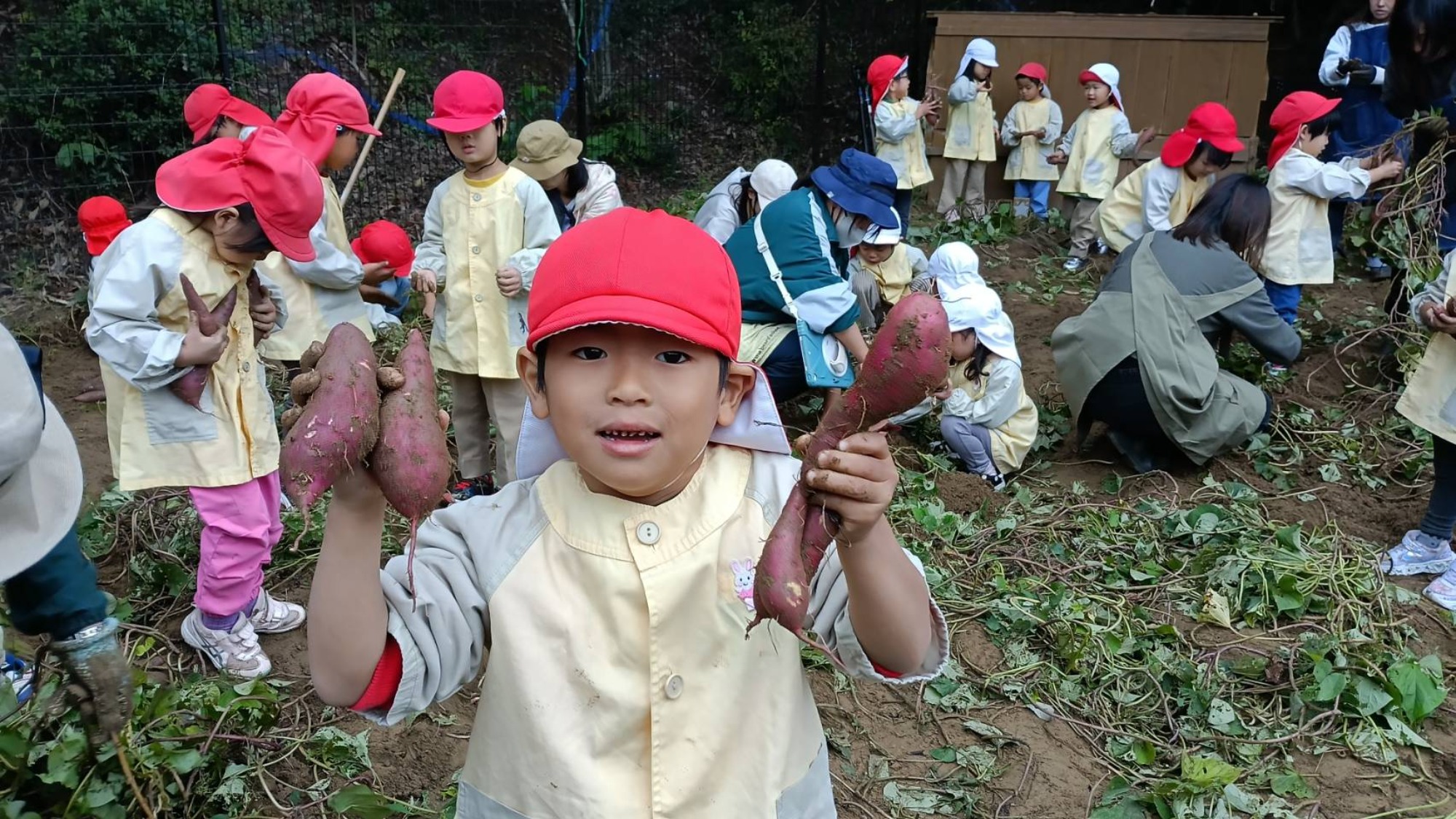 おいも掘り（3/3）