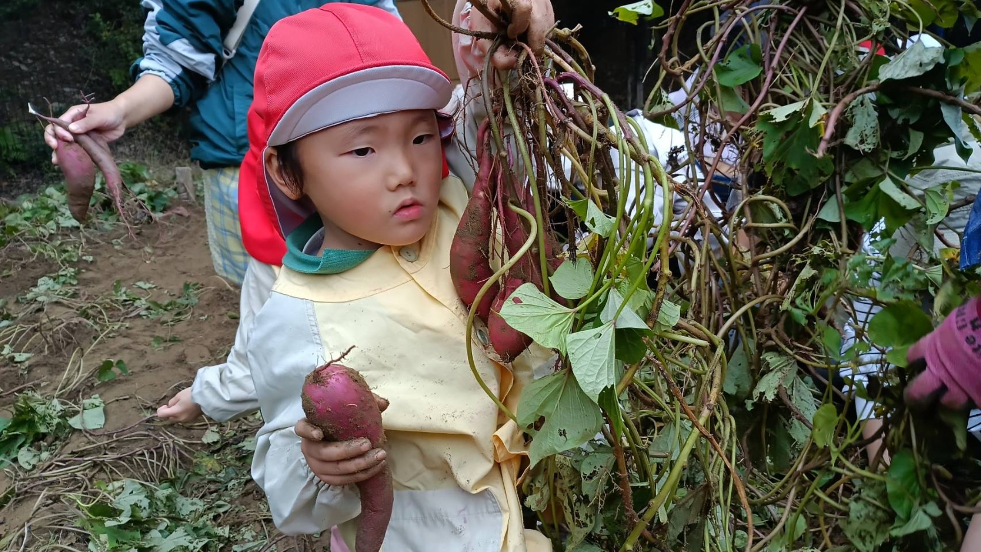 おいも掘り（3/3）