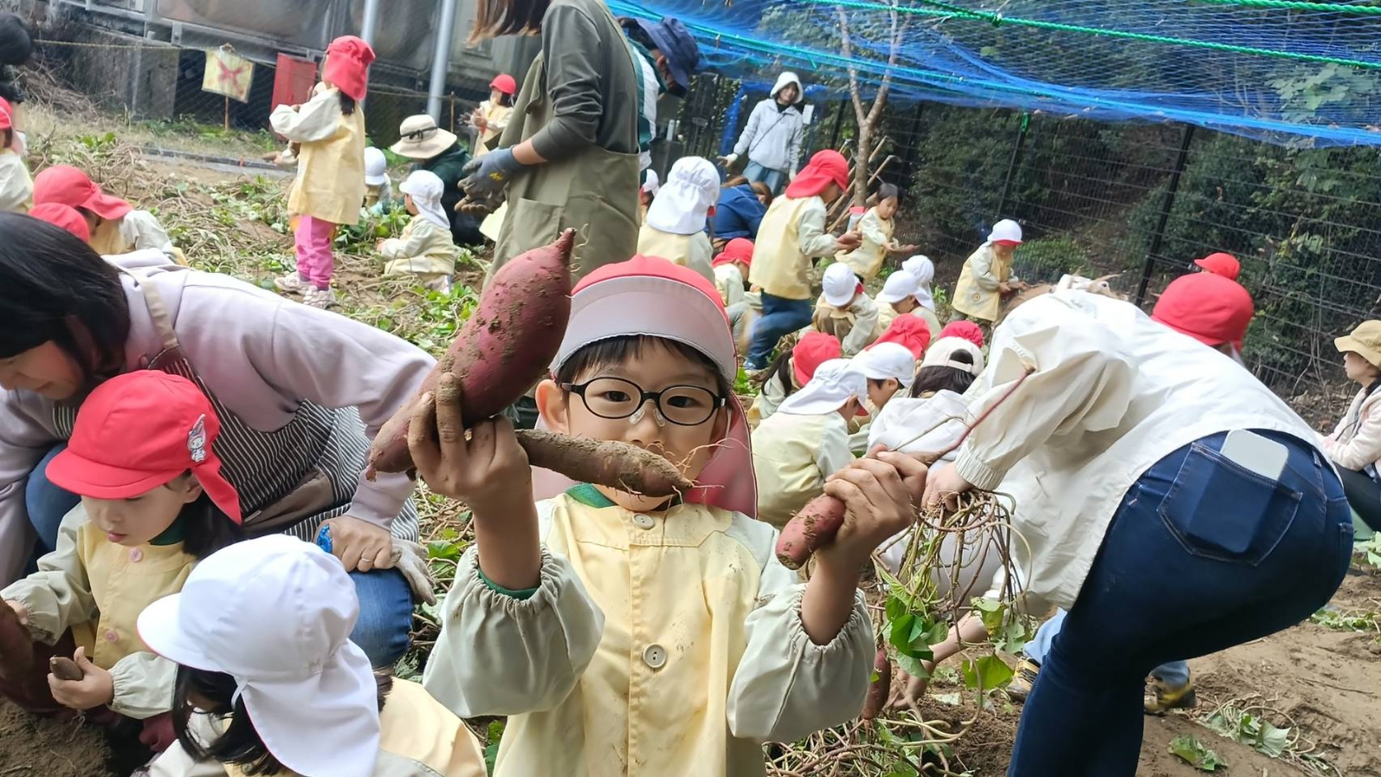 おいも掘り（3/3）