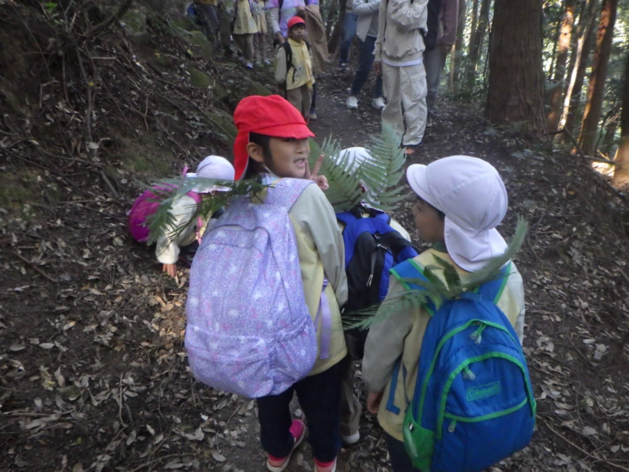 【年長】11/7　村積山　園外保育（1/4）