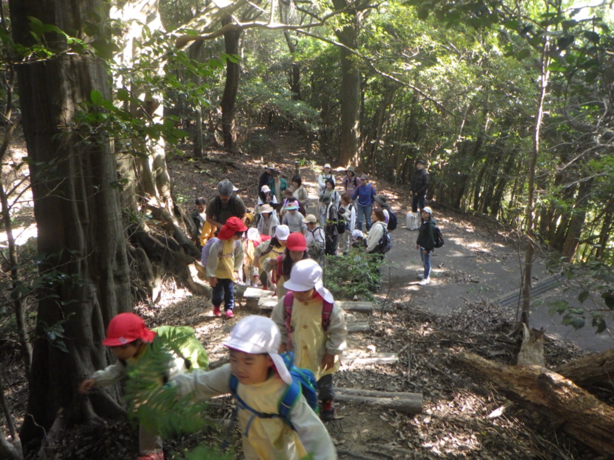 【年長】11/7　村積山　園外保育（1/4）