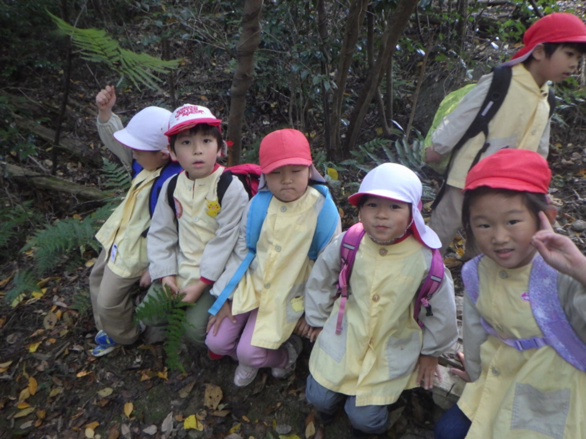 【年長】11/7　村積山　園外保育（1/4）