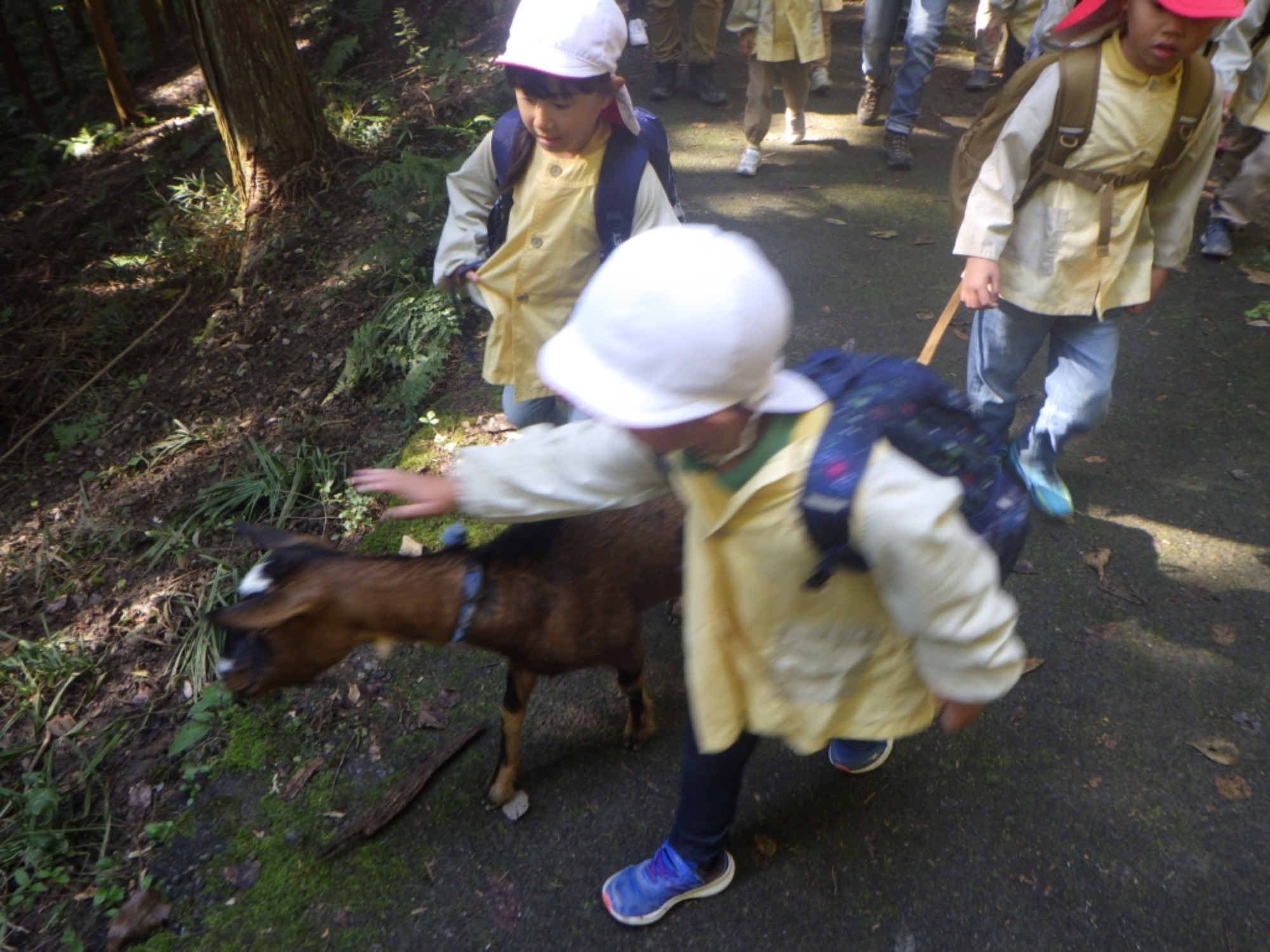 【年長】11/7　村積山　園外保育（1/4）