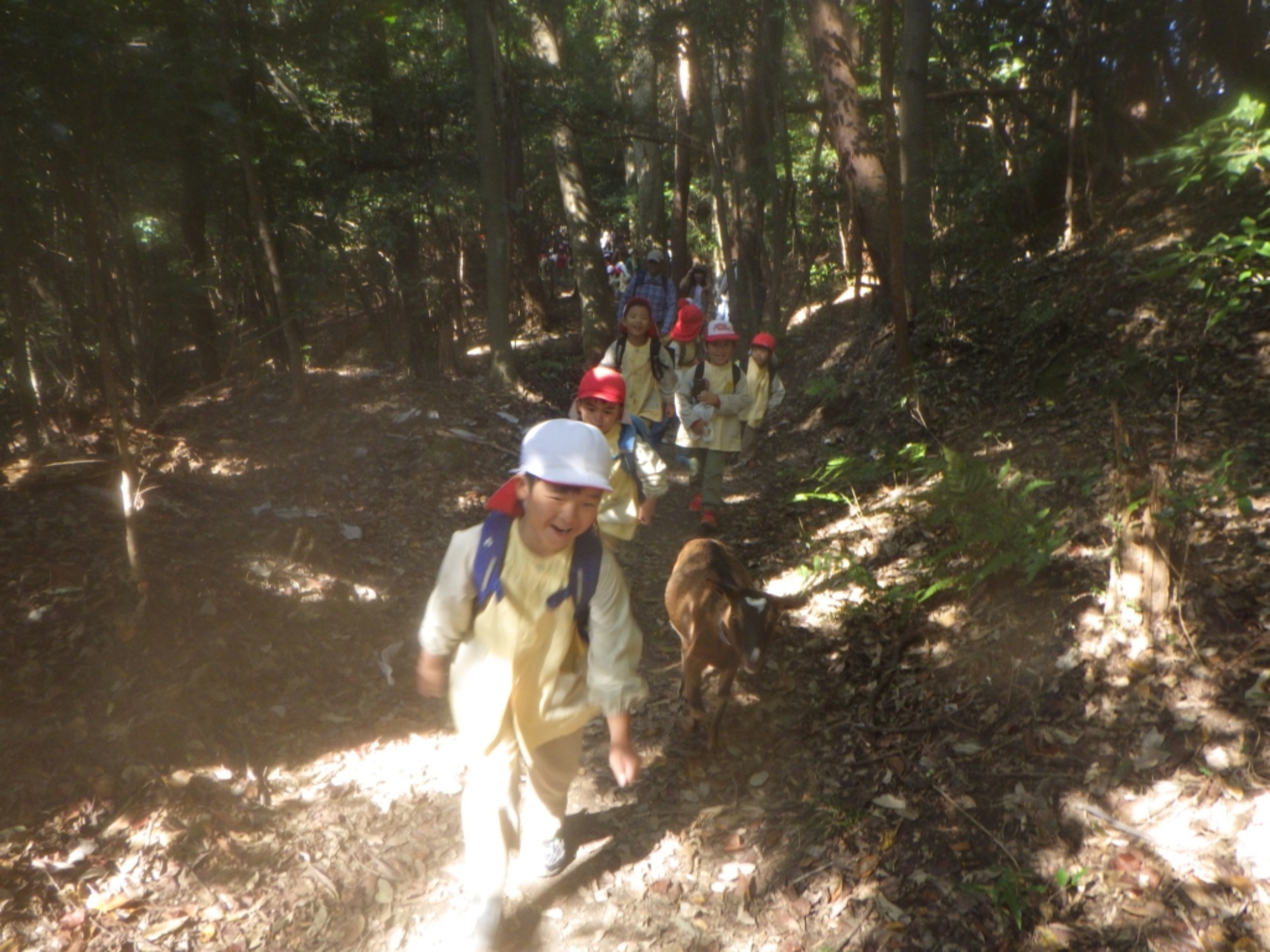 【年長】11/7　村積山　園外保育（1/4）