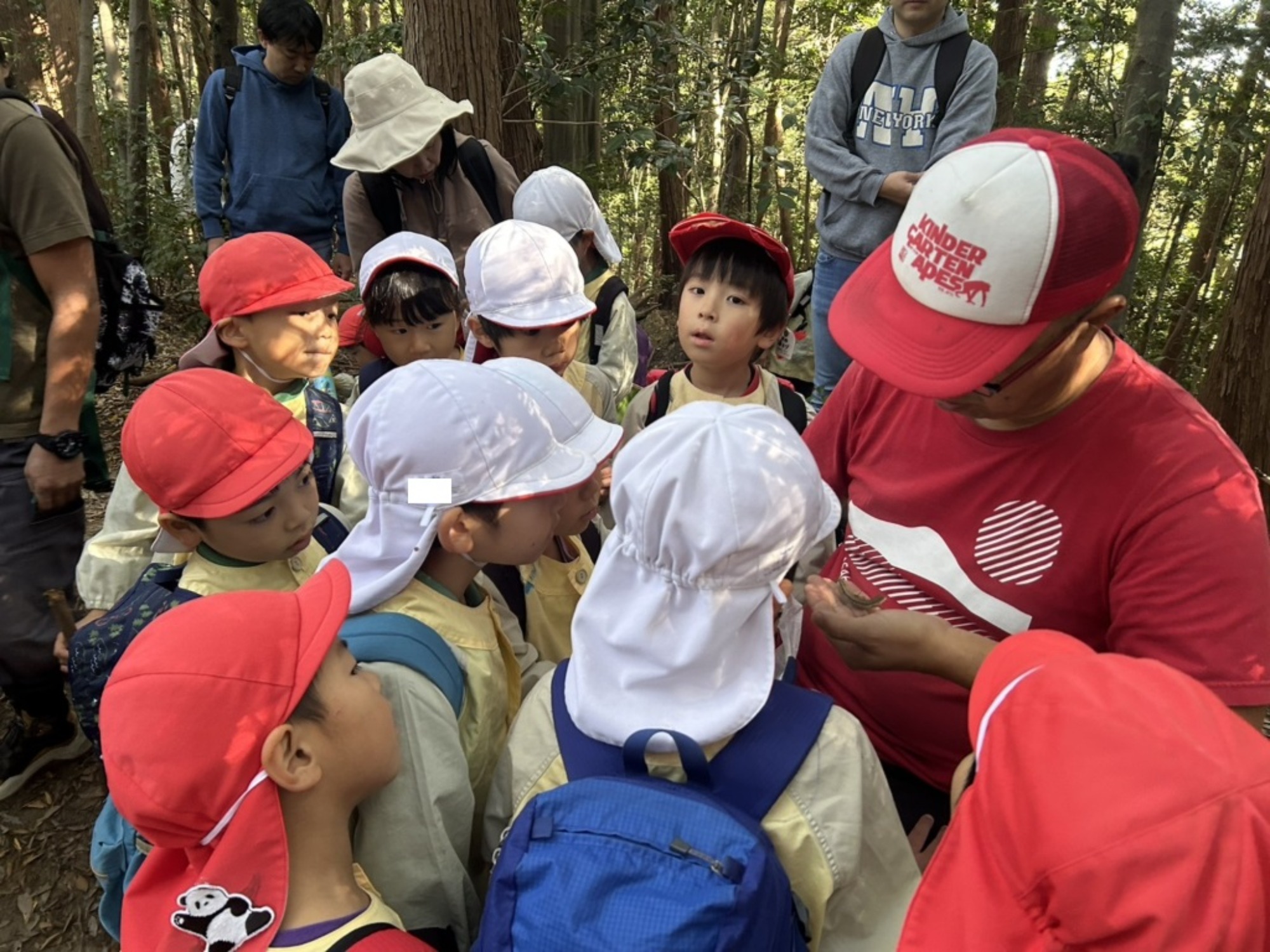 【年長】11/7　村積山　園外保育（1/4）