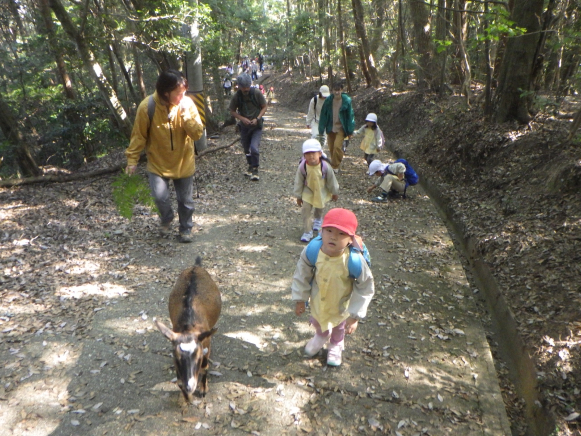 【年長】11/7　村積山　園外保育（2/4）