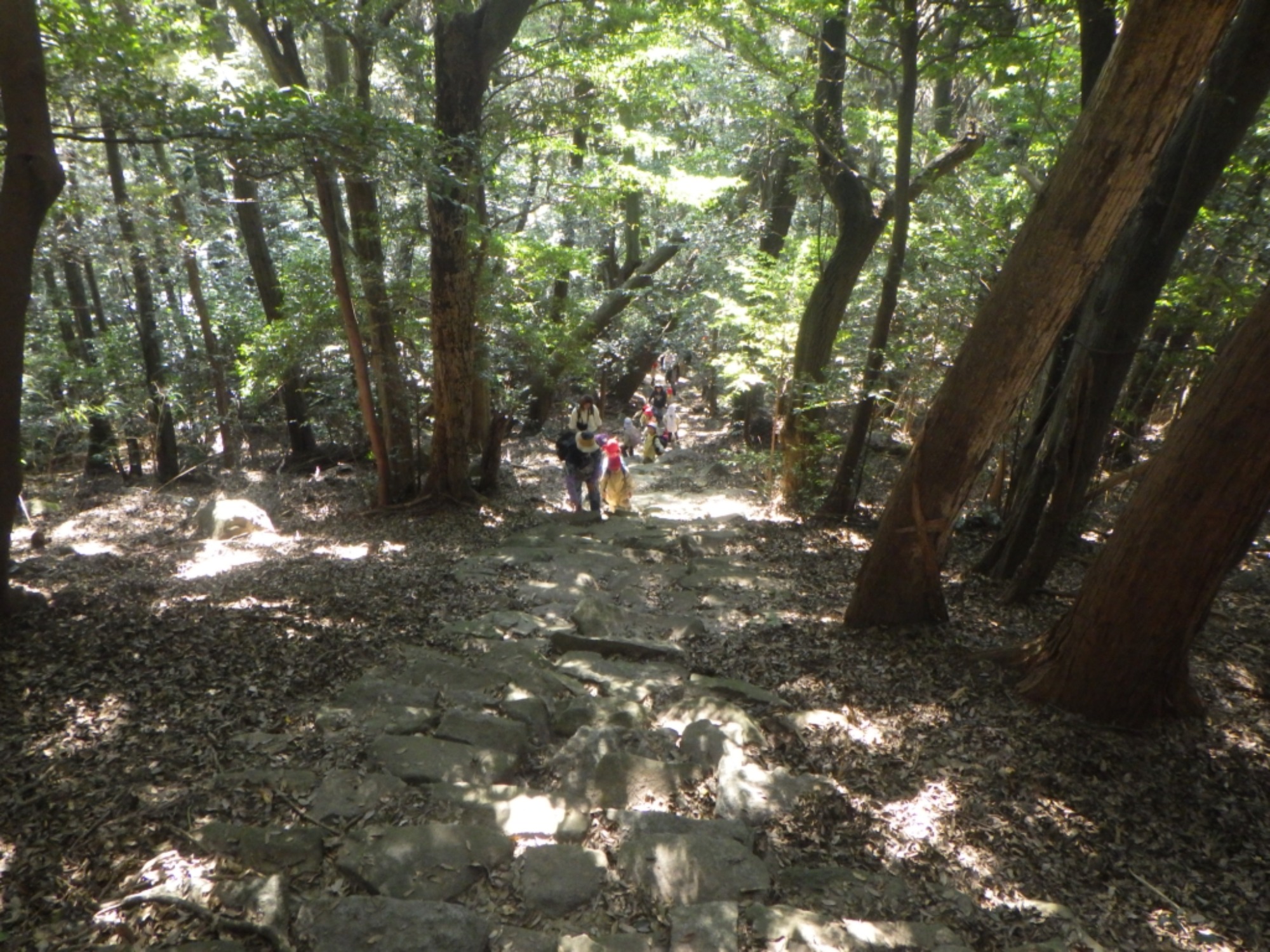 【年長】11/7　村積山　園外保育（2/4）