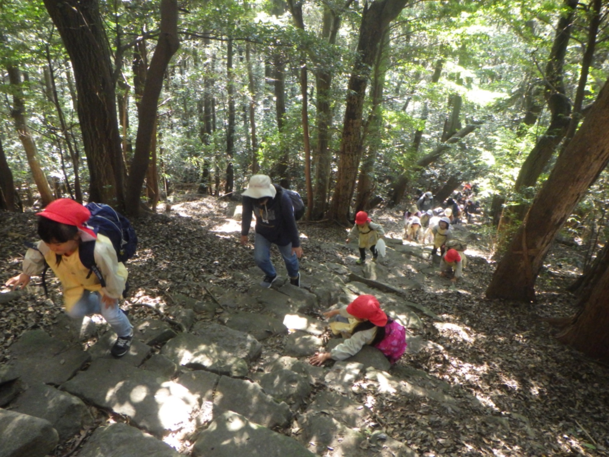 【年長】11/7　村積山　園外保育（2/4）
