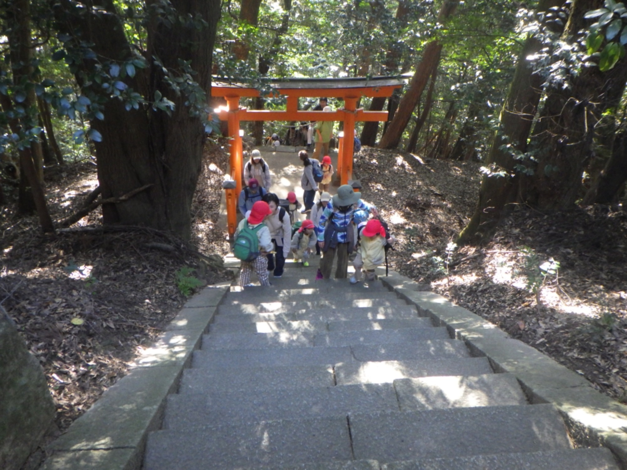 【年長】11/7　村積山　園外保育（2/4）