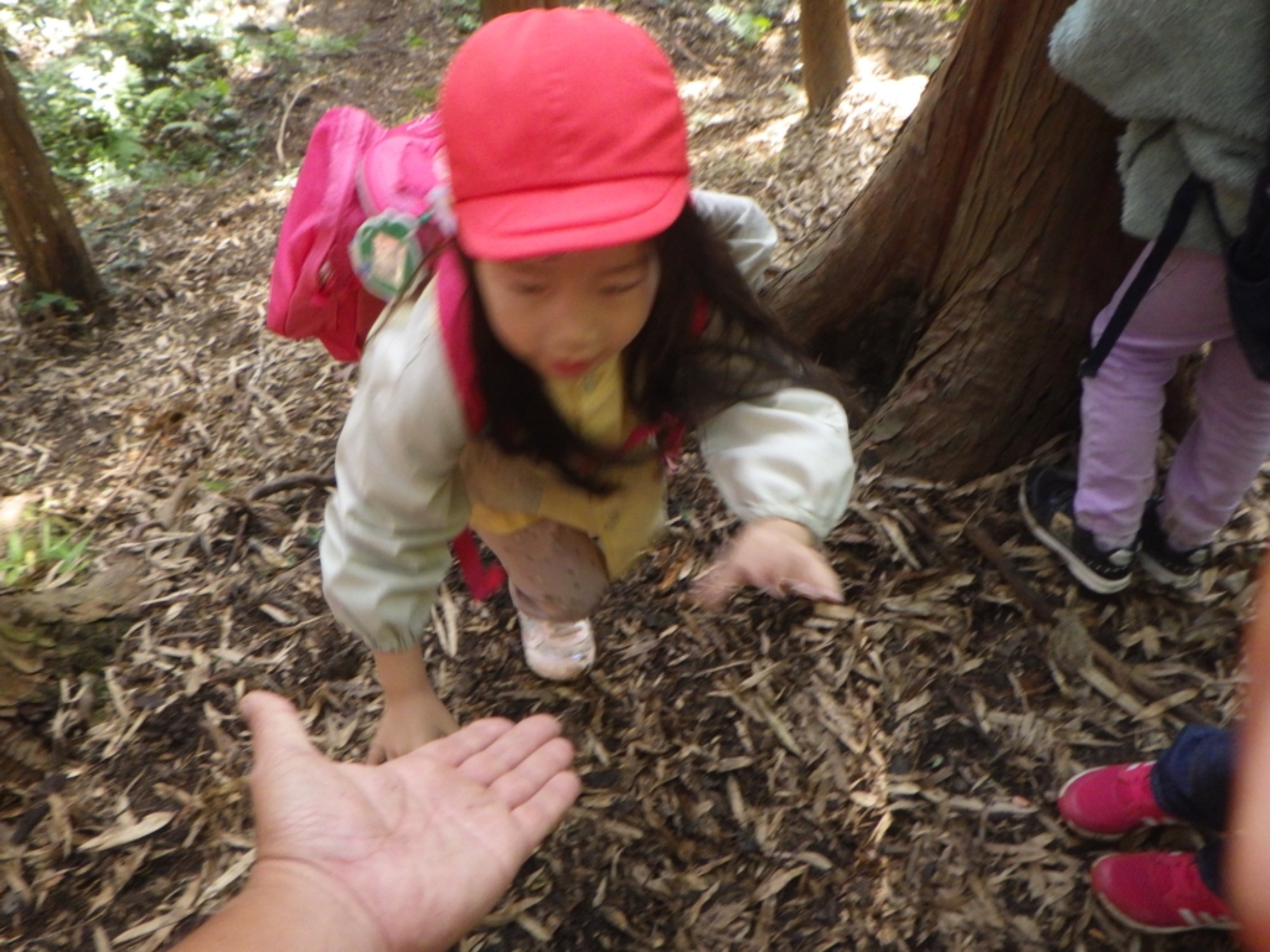 【年長】11/7　村積山　園外保育（3/4）