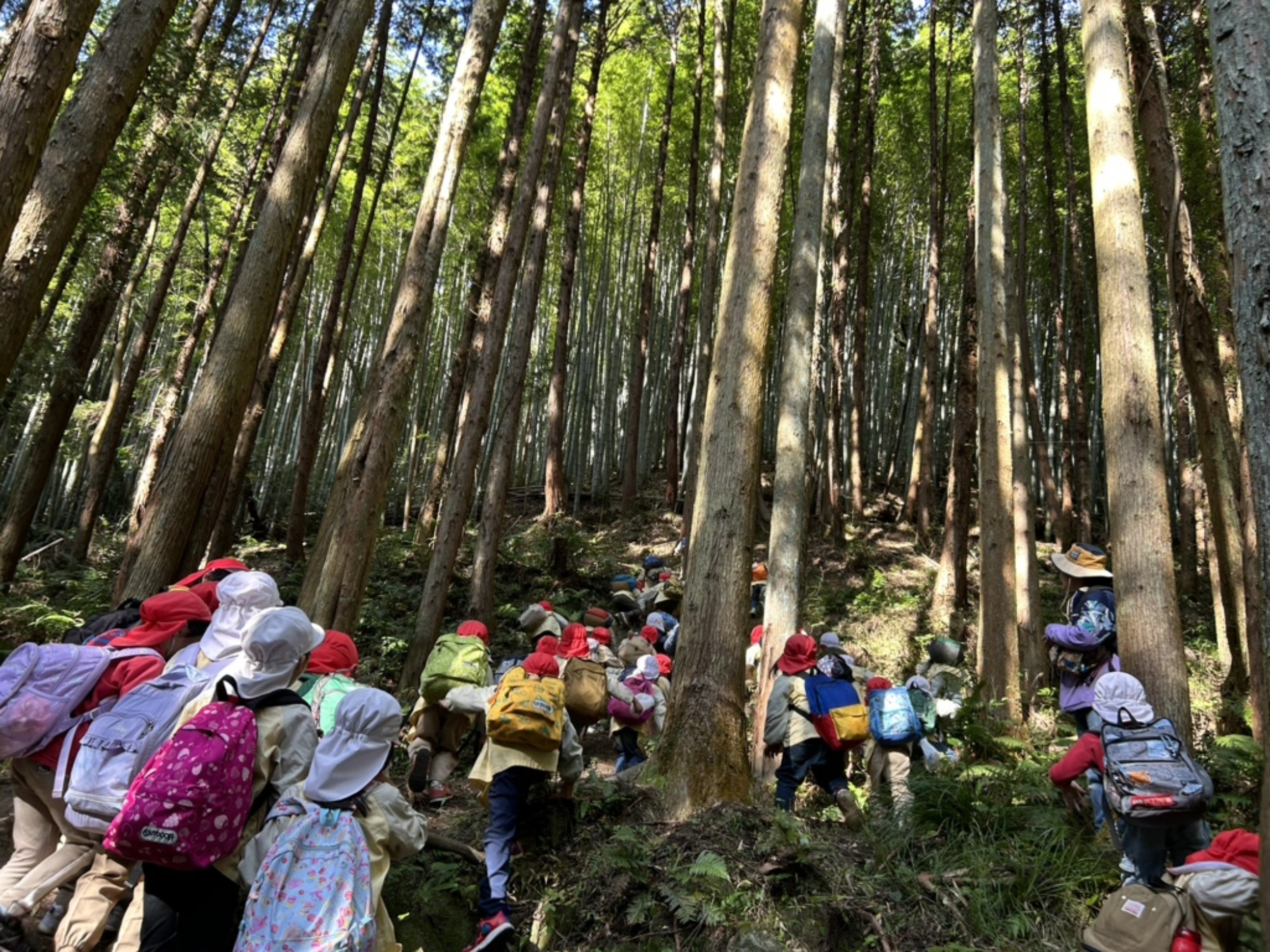 【年長】11/7　村積山　園外保育（3/4）