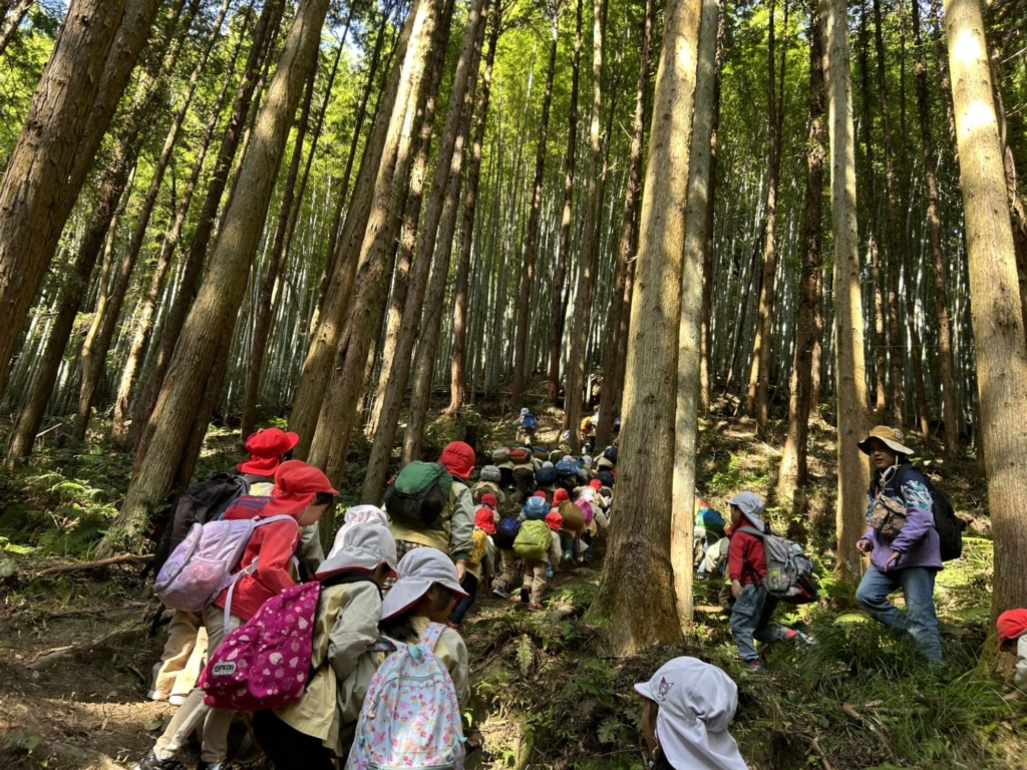 【年長】11/7　村積山　園外保育（3/4）