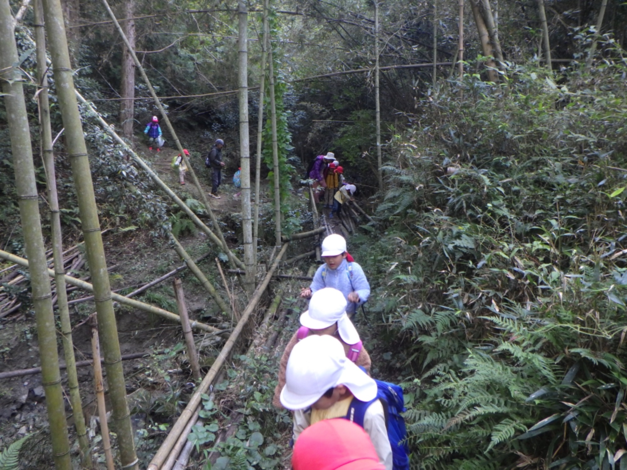 【年長】11/7　村積山　園外保育（3/4）
