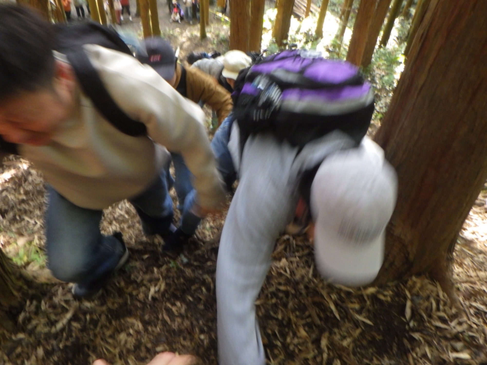 【年長】11/7　村積山　園外保育（4/4）