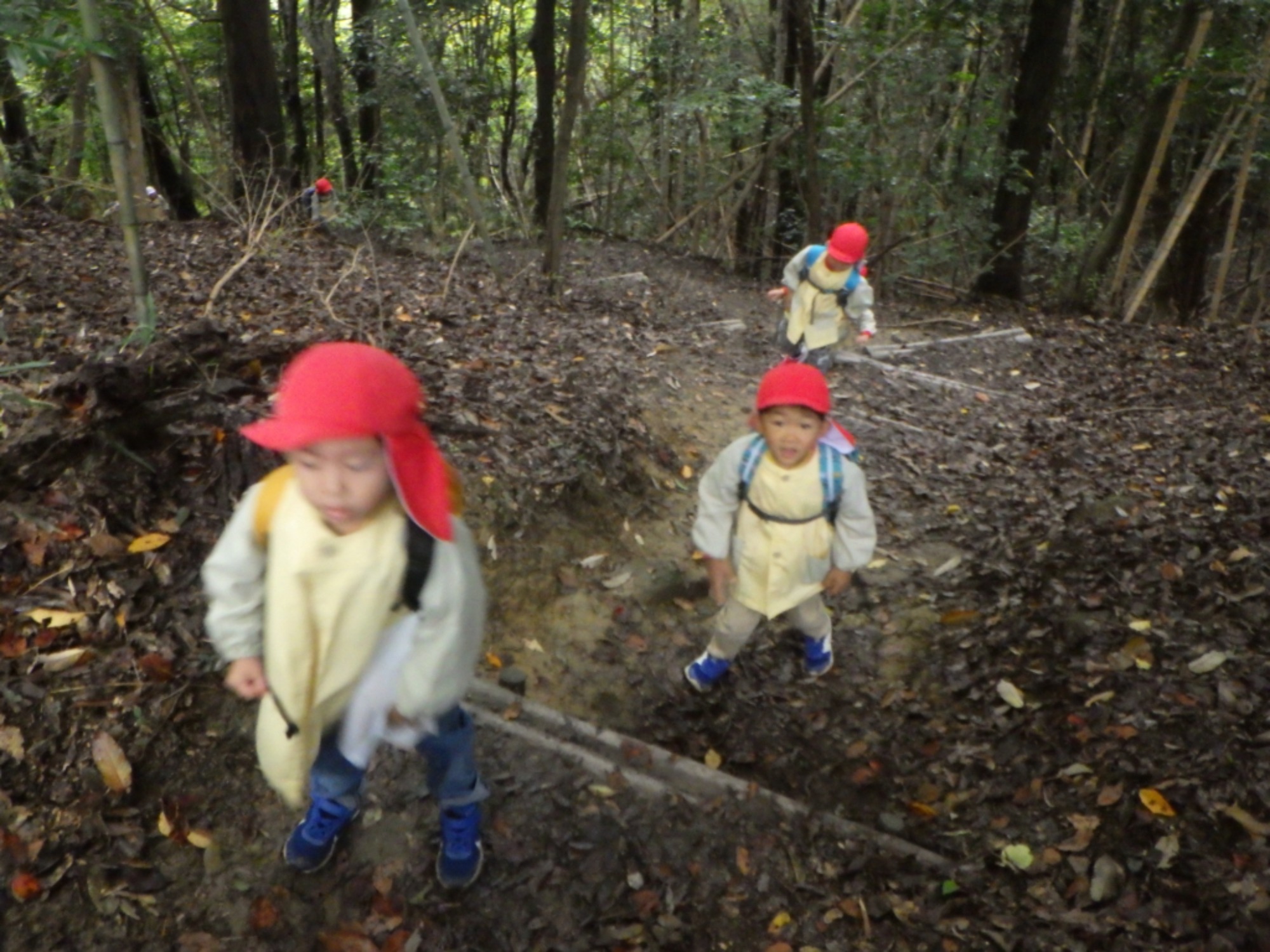 【年中】11/10　村積山　園外保育（1/3）