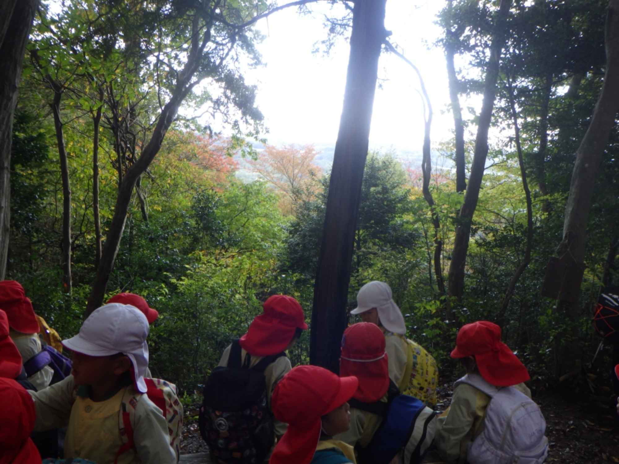 【年中】11/10　村積山　園外保育（1/3）