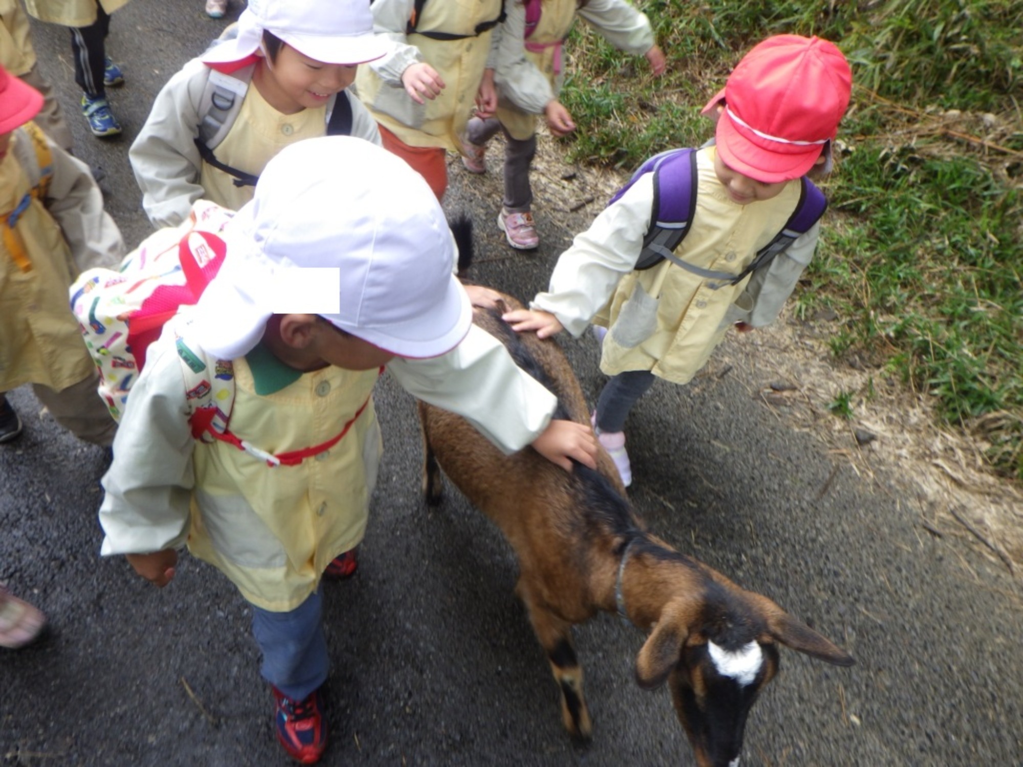 【年中】11/10　村積山　園外保育（1/3）