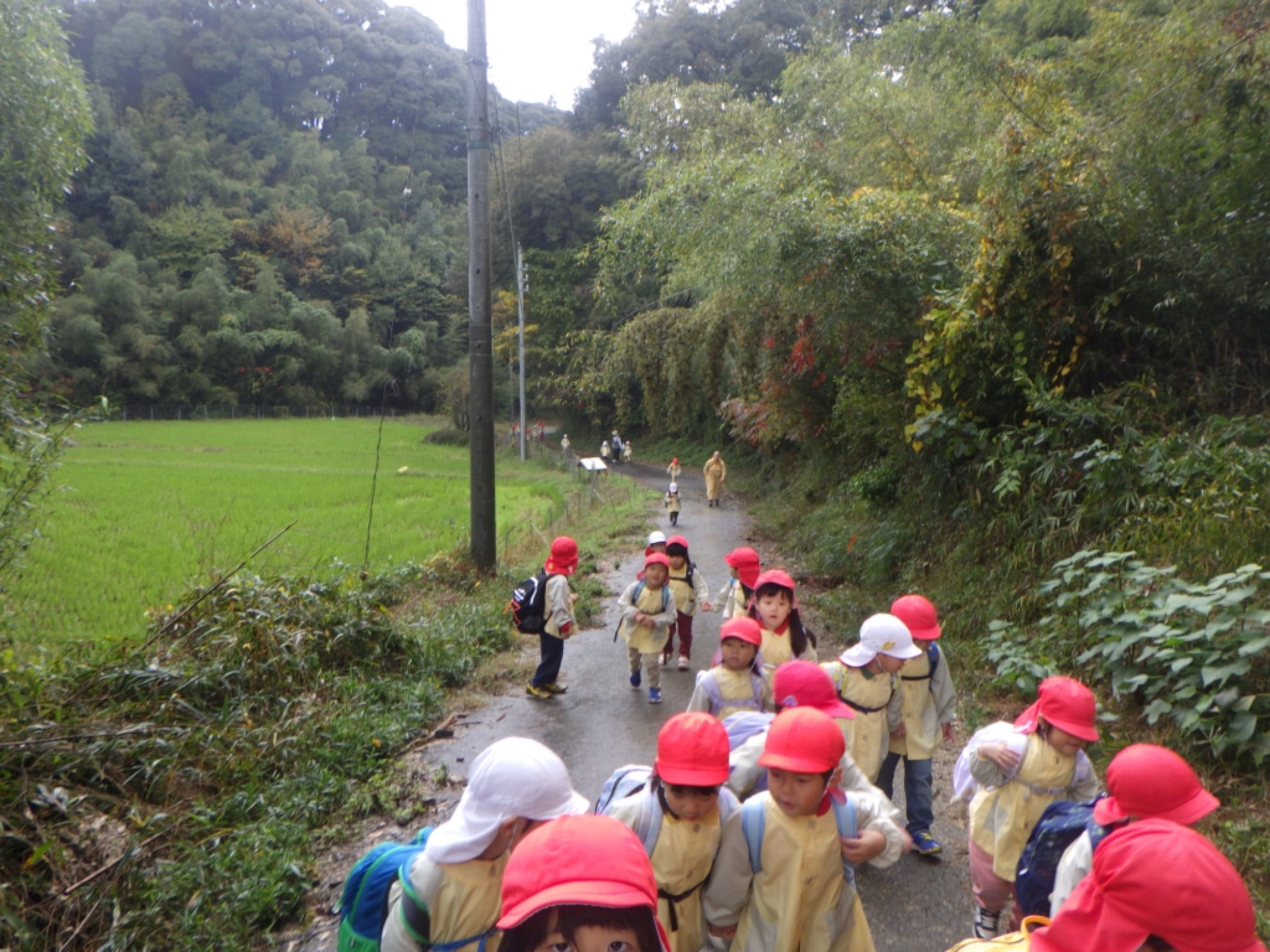 【年中】11/10　村積山　園外保育（1/3）