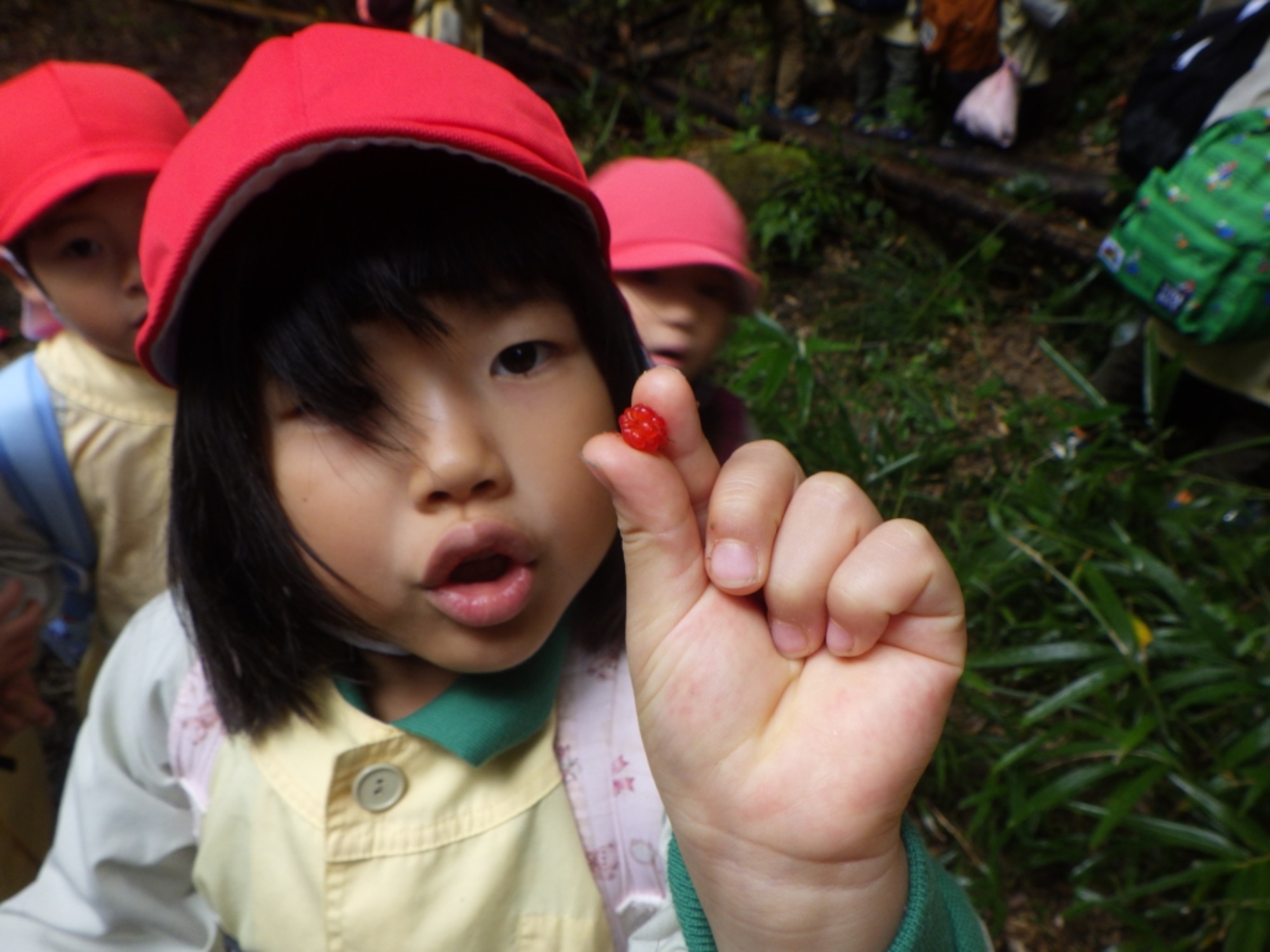 【年中】11/10　村積山　園外保育（1/3）