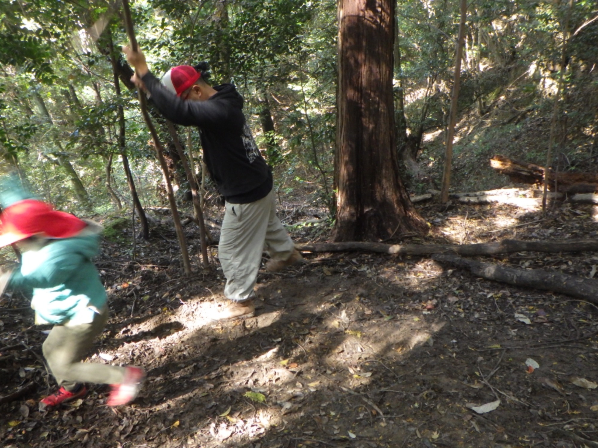 【年中】11/10 村積山 園外保育(2/3)