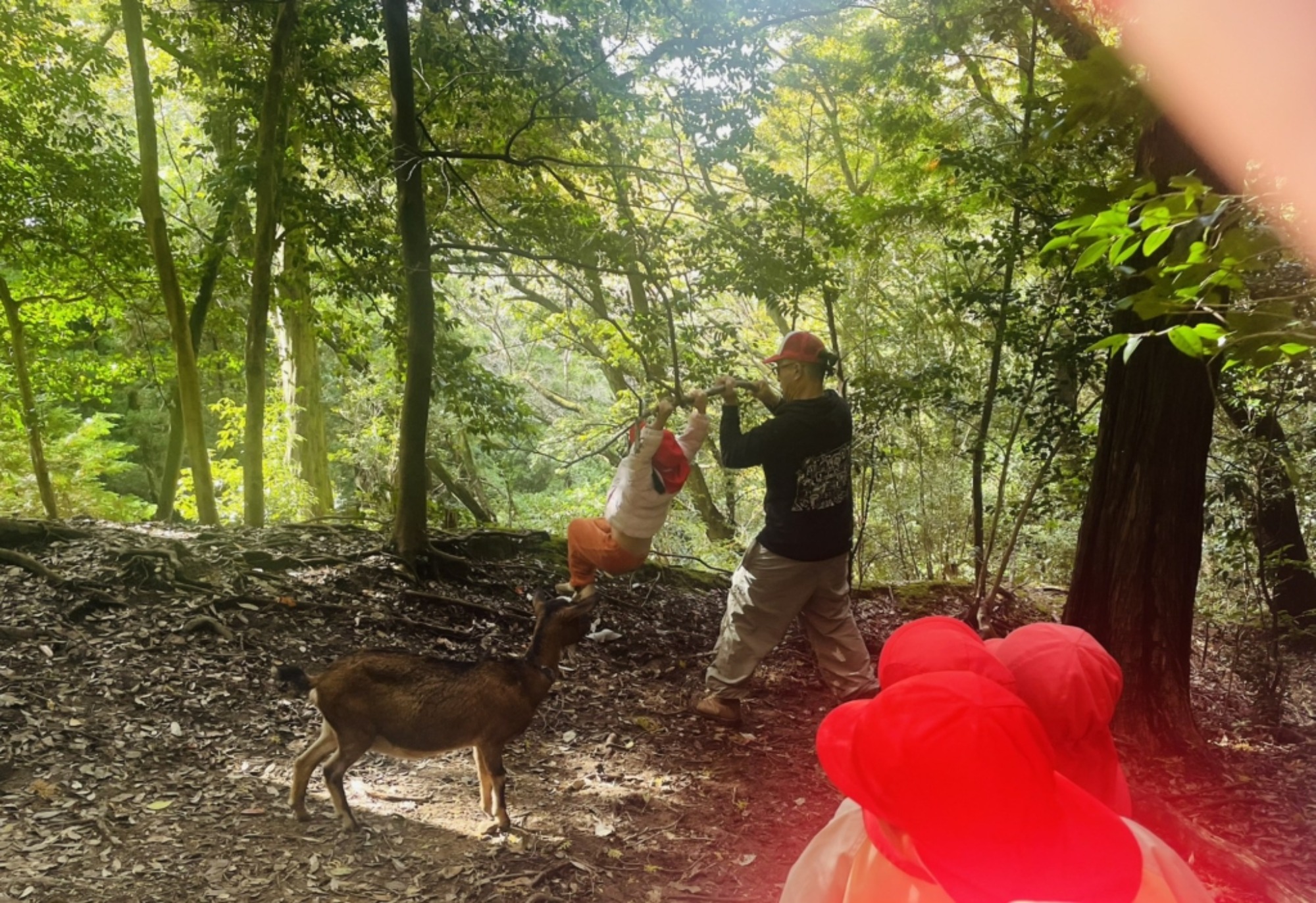 【年中】11/10 村積山 園外保育(2/3)