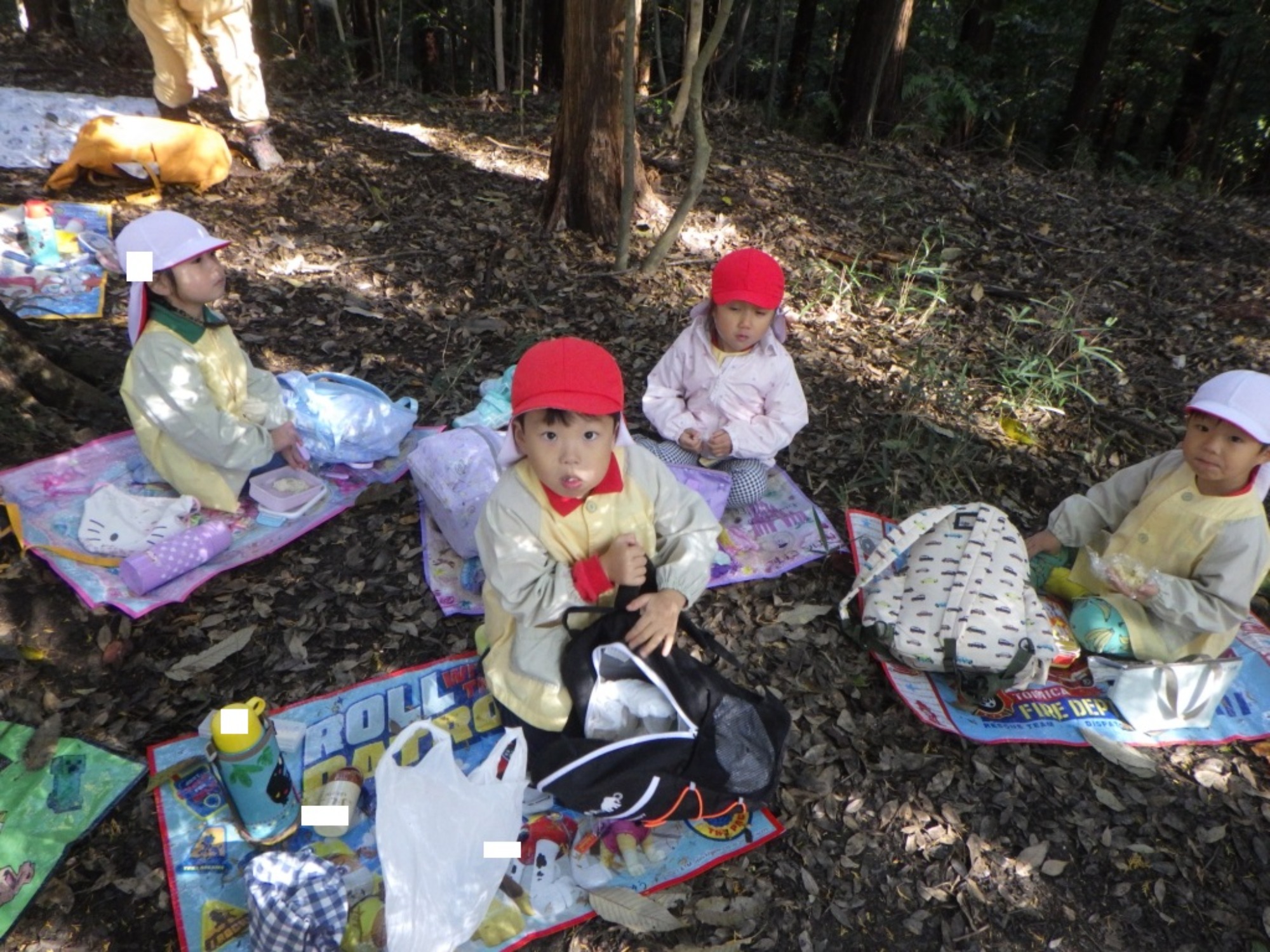 【年中】11/10 村積山 園外保育(2/3)