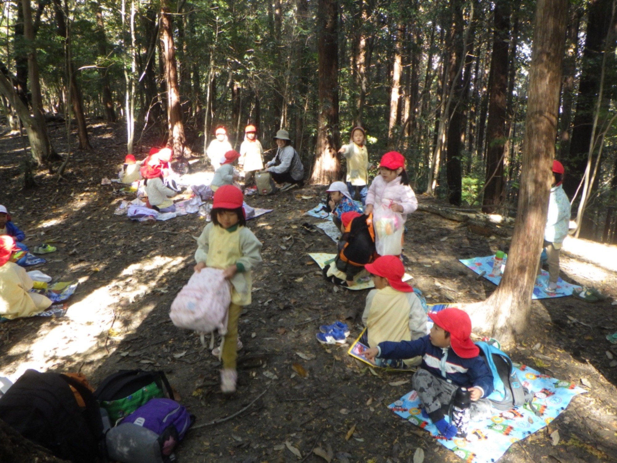 【年中】11/10 村積山 園外保育(2/3)