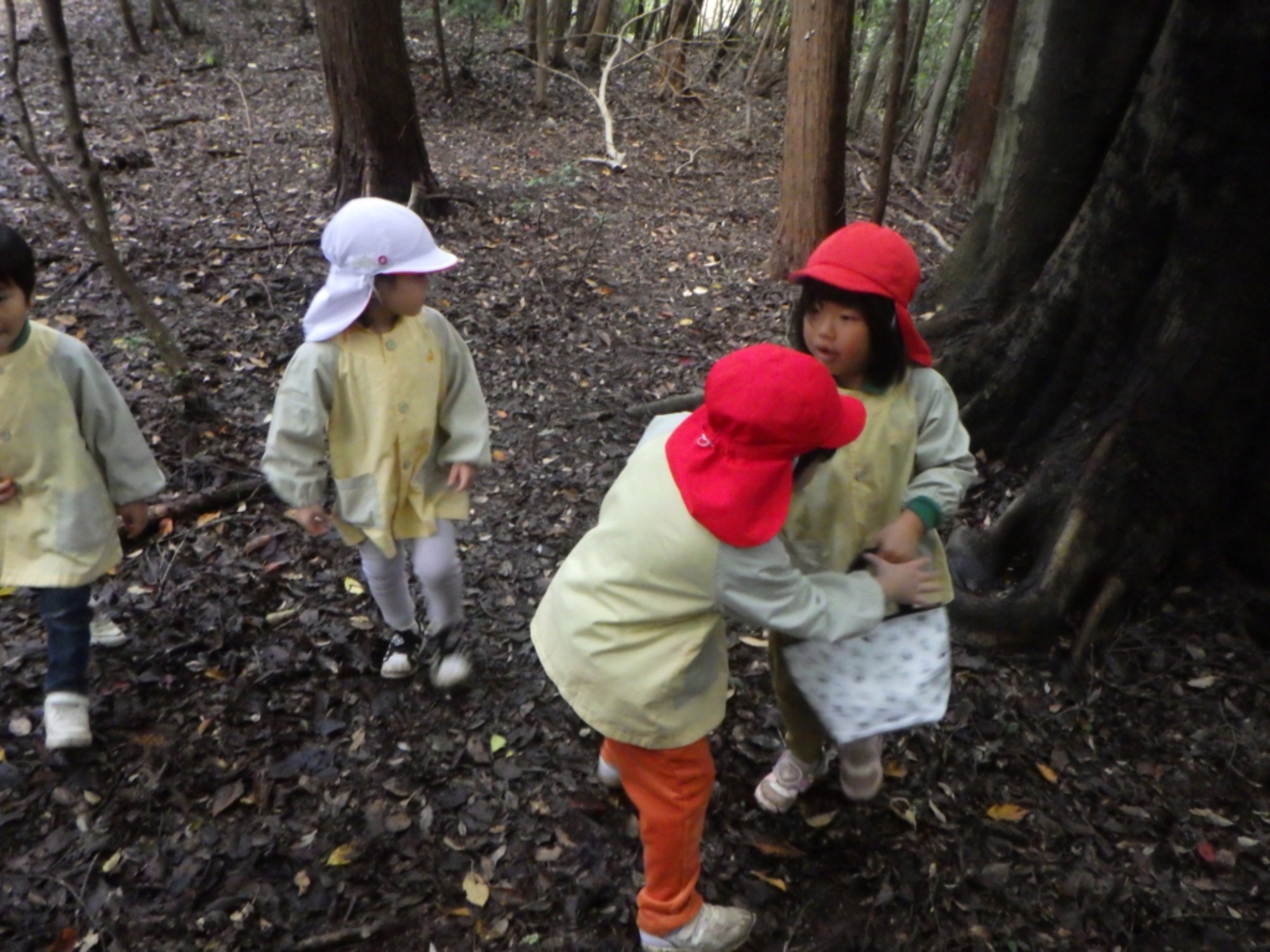 【年中】11/10 村積山 園外保育(2/3)