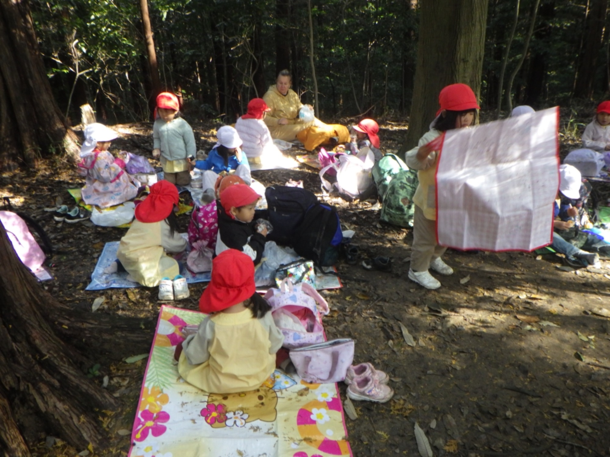 【年中】11/10 村積山 園外保育(2/3)