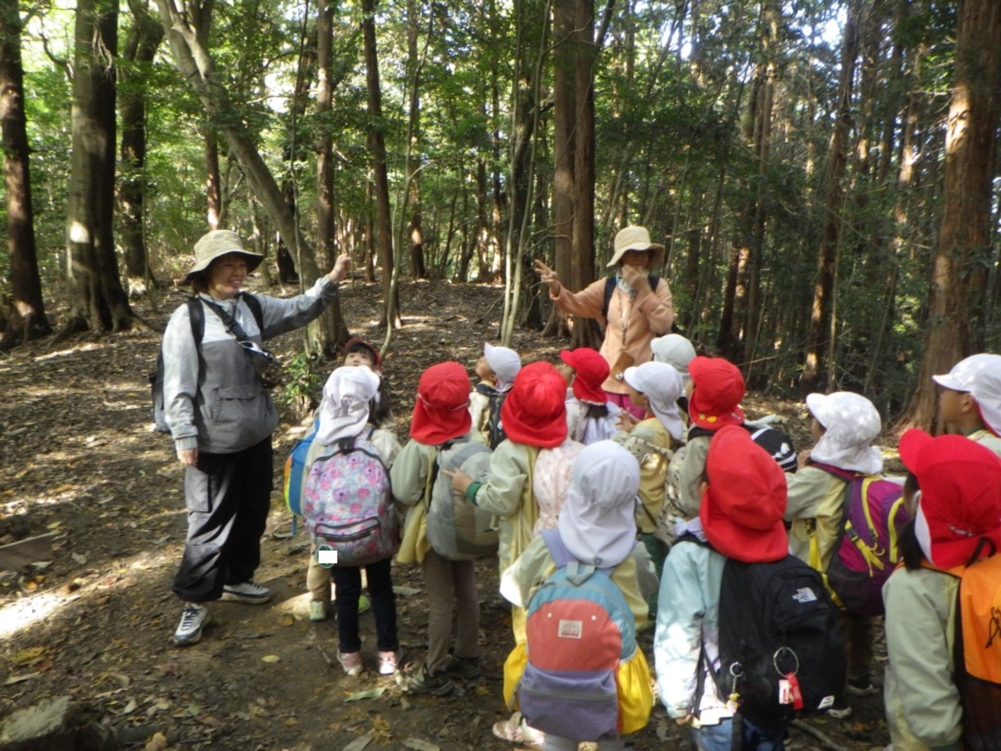 【年中】11/10　村積山　園外保育（3/3）