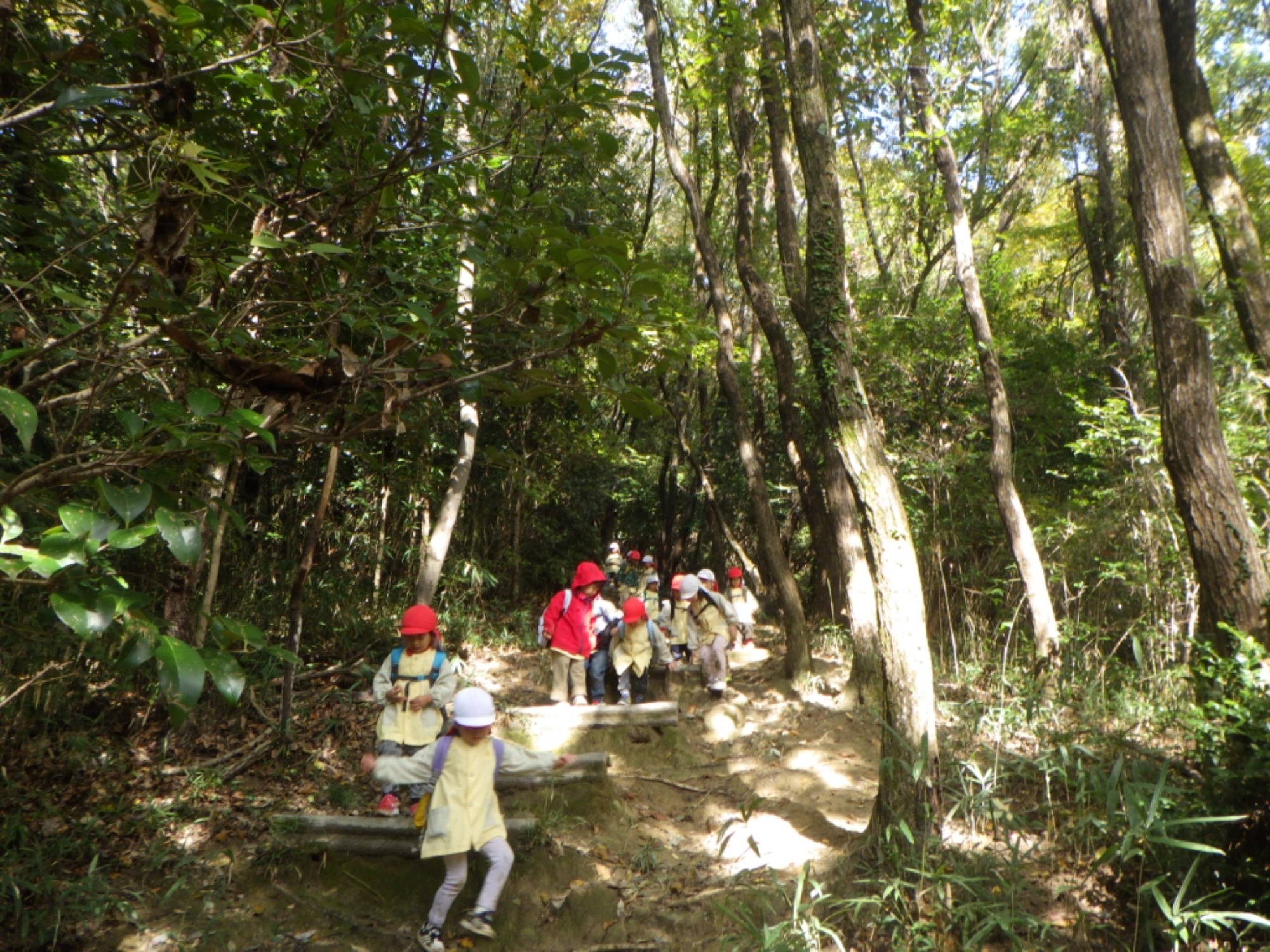 【年中】11/10　村積山　園外保育（3/3）