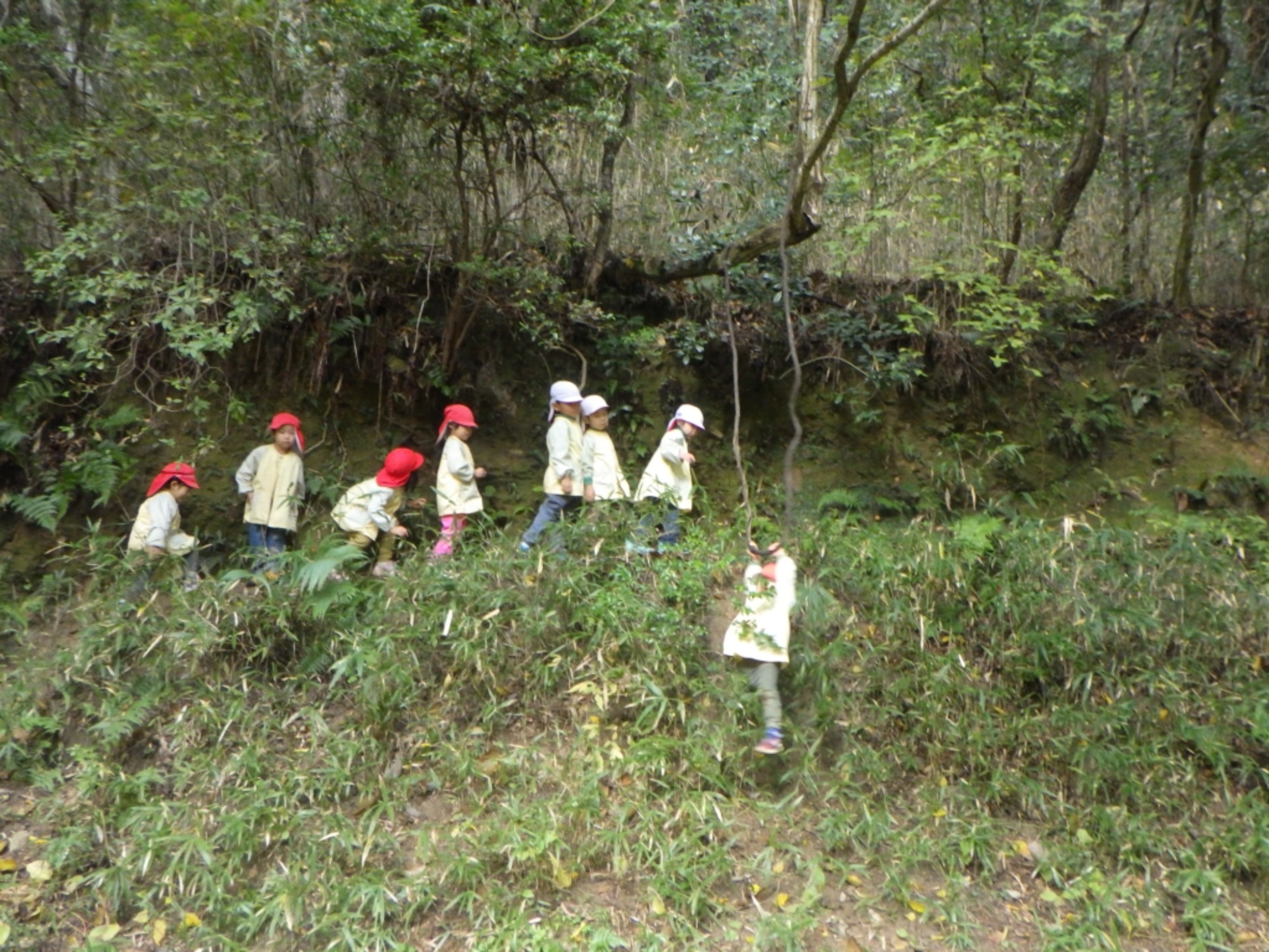 【年中】11/10　村積山　園外保育（3/3）