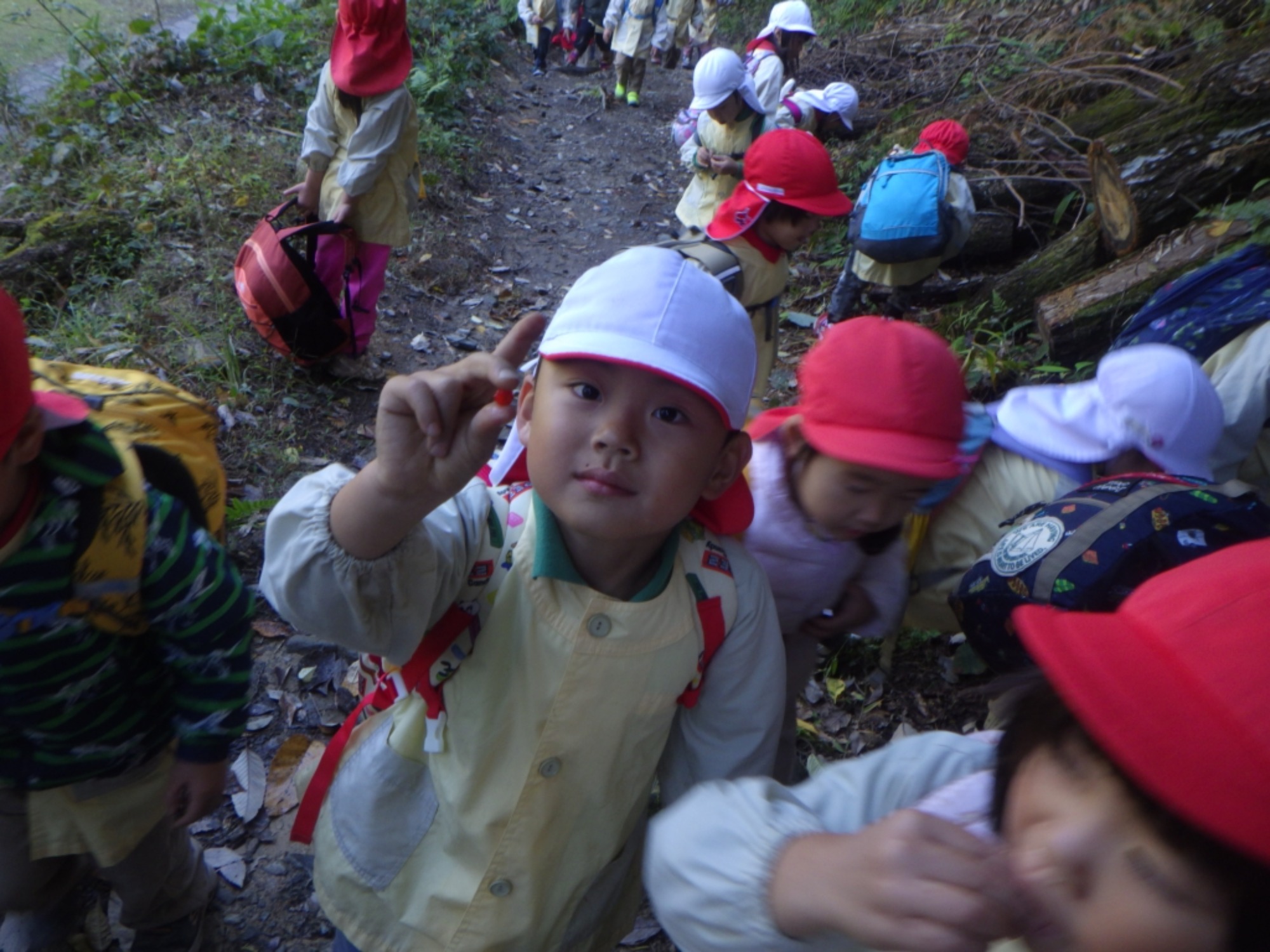【年中】11/10　村積山　園外保育（3/3）