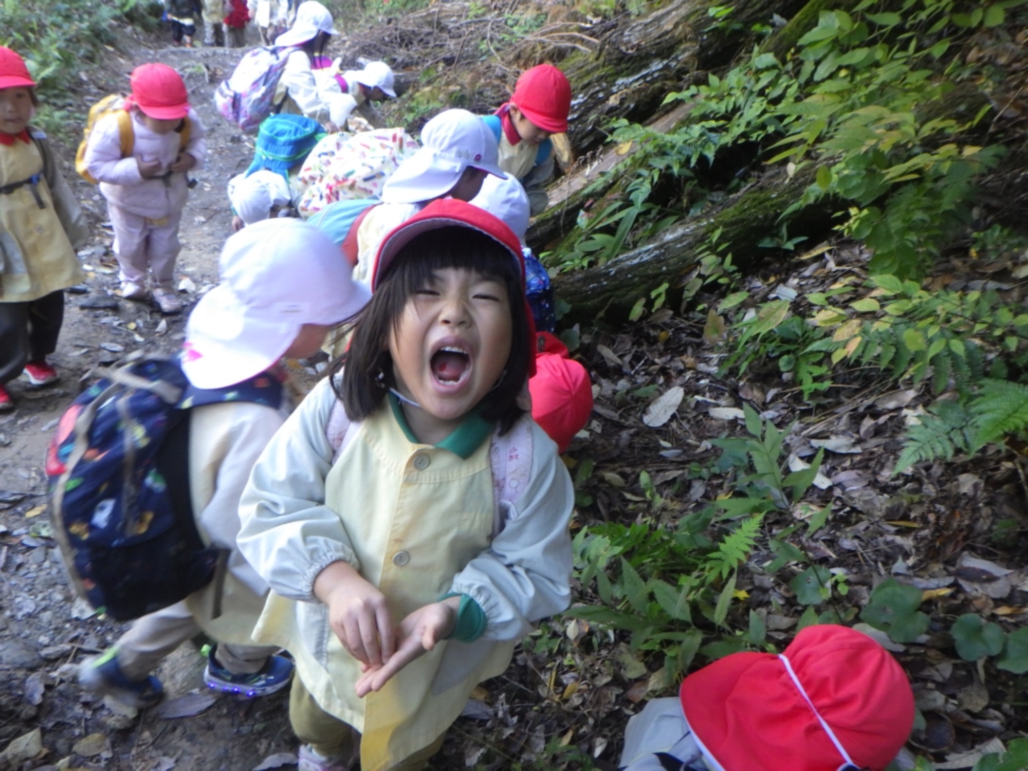 【年中】11/10　村積山　園外保育（3/3）