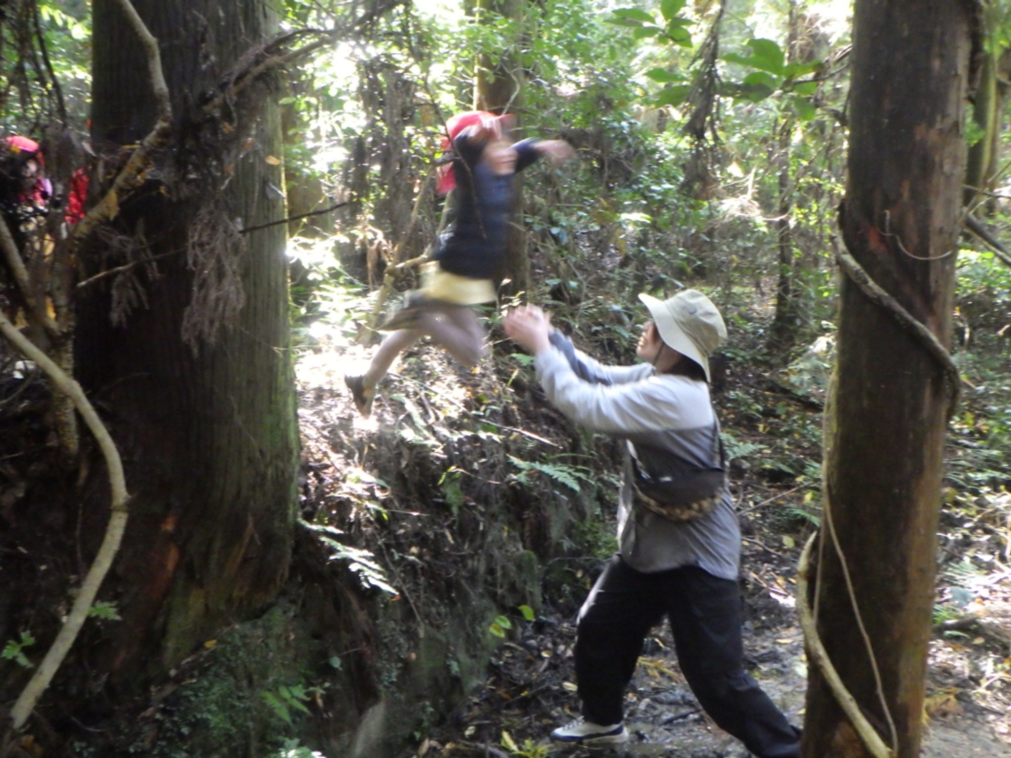 【年中】11/10　村積山　園外保育（3/3）