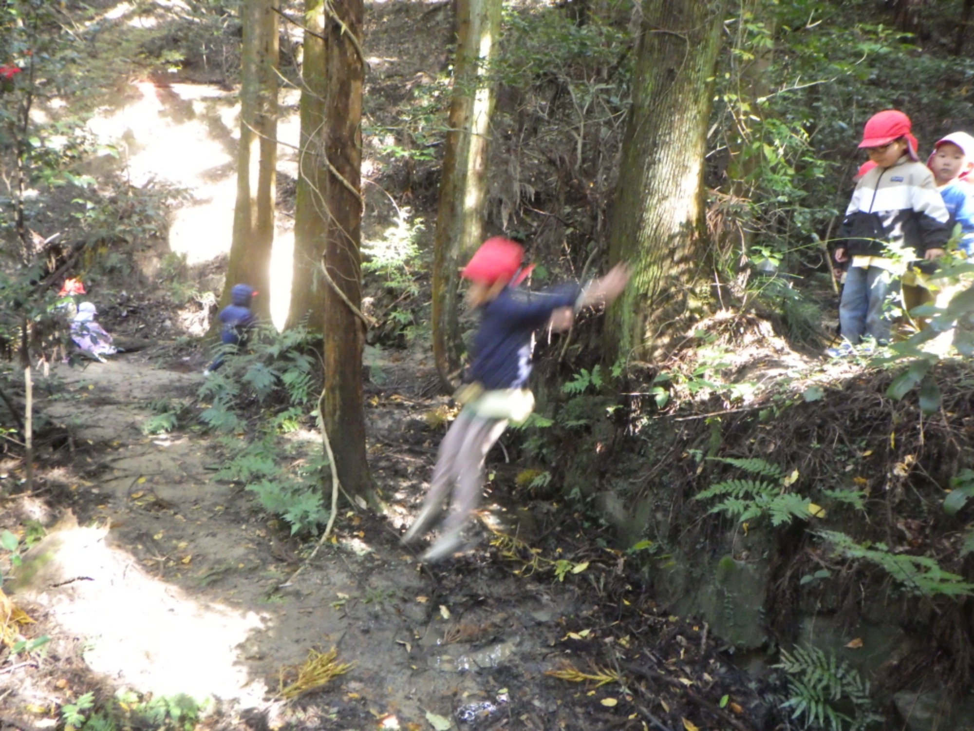 【年中】11/10　村積山　園外保育（3/3）