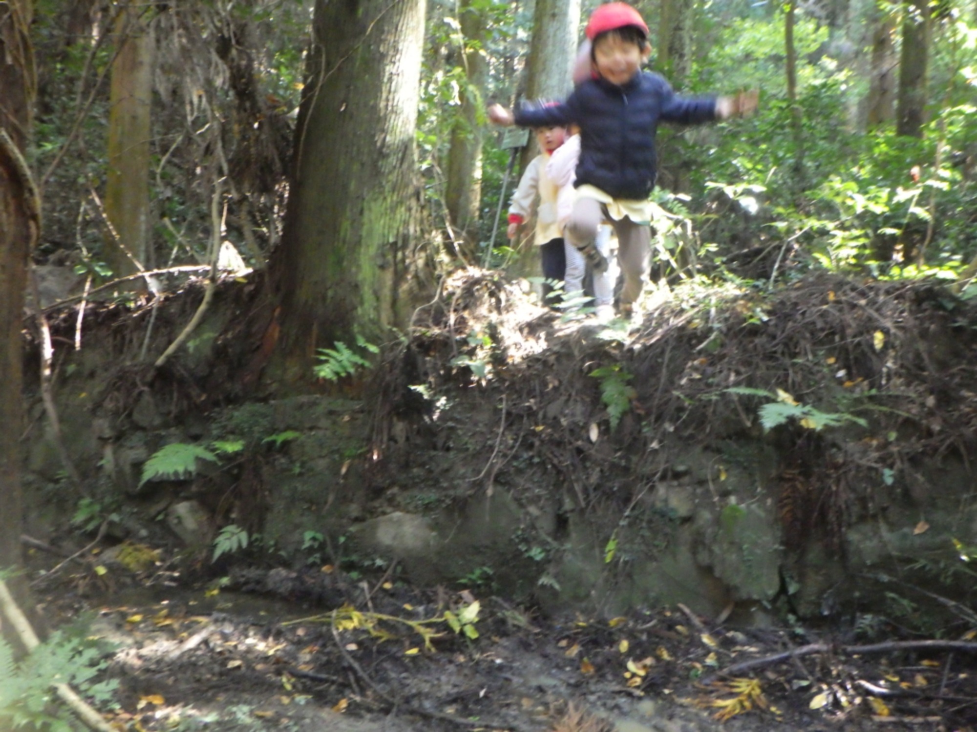 【年中】11/10　村積山　園外保育（3/3）